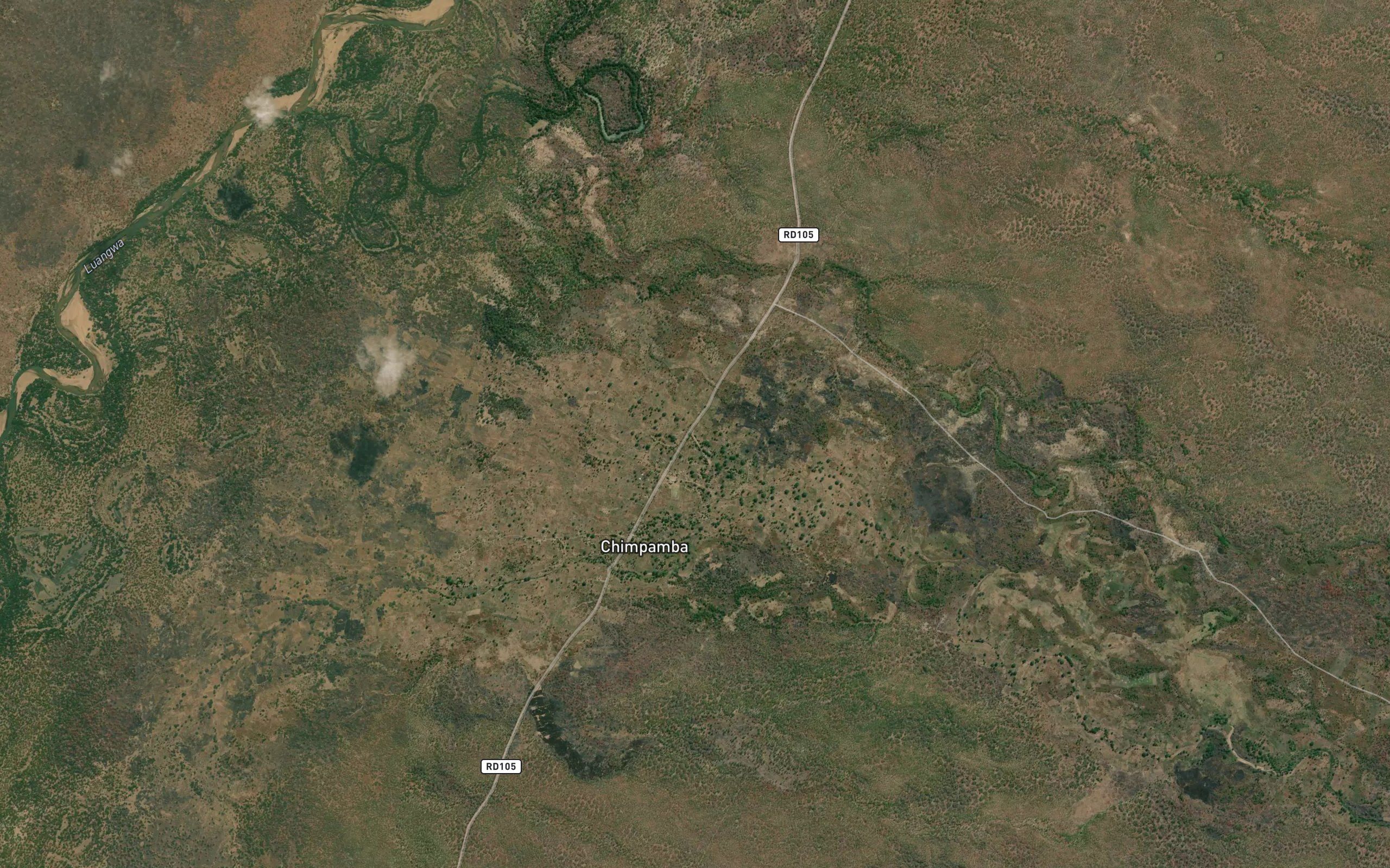 Muzungwe