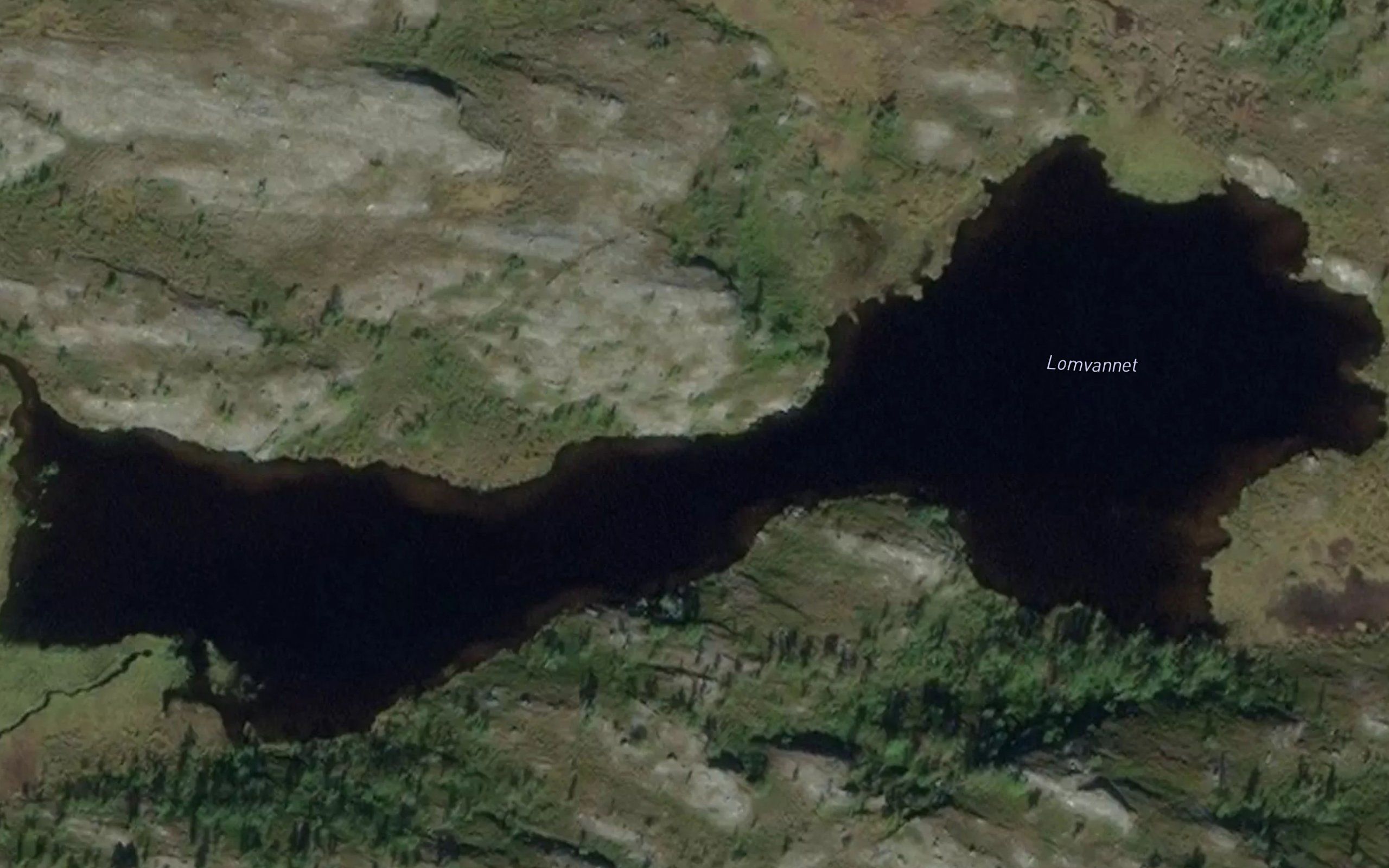 Lomvannet