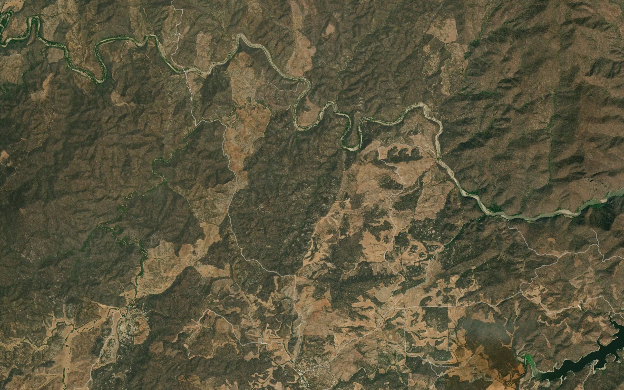 Barranca Los Copales