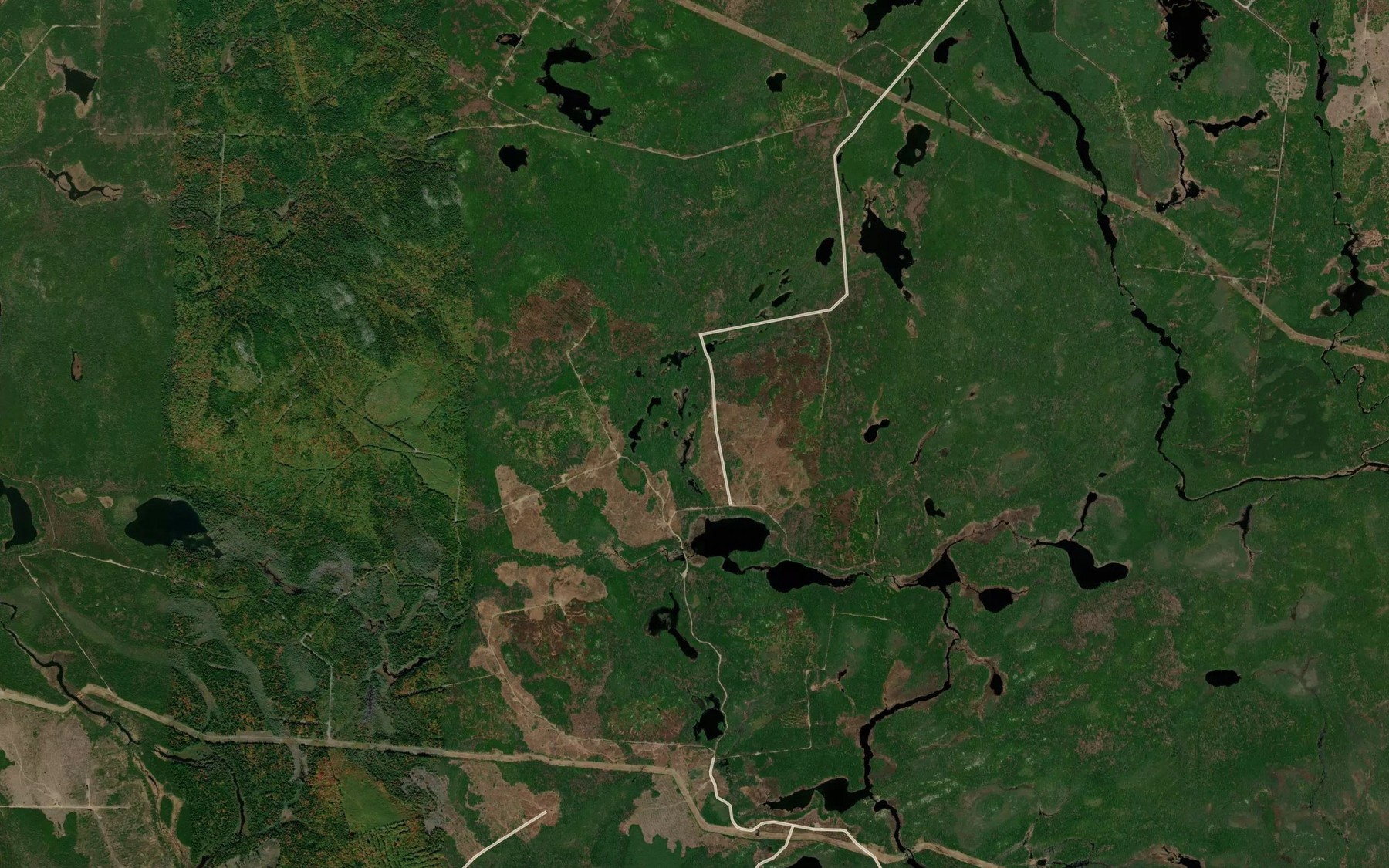 Satellite map of the Love Lake Brook