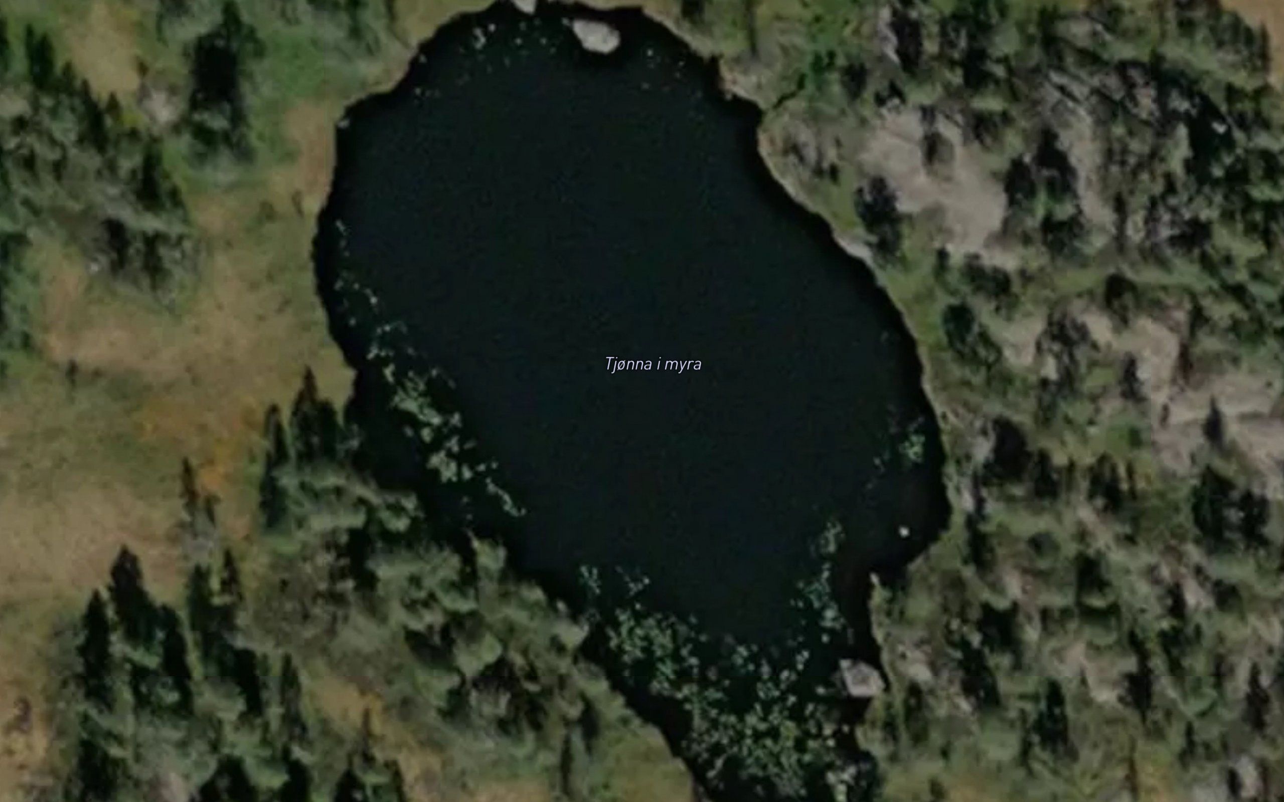 Tjonna i myra