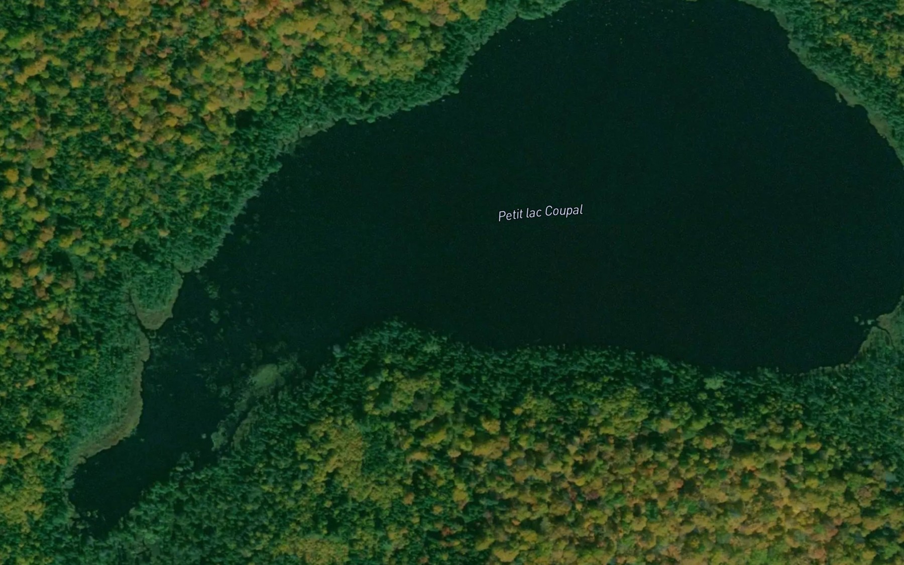 Satellite map of the Petit lac Coupal