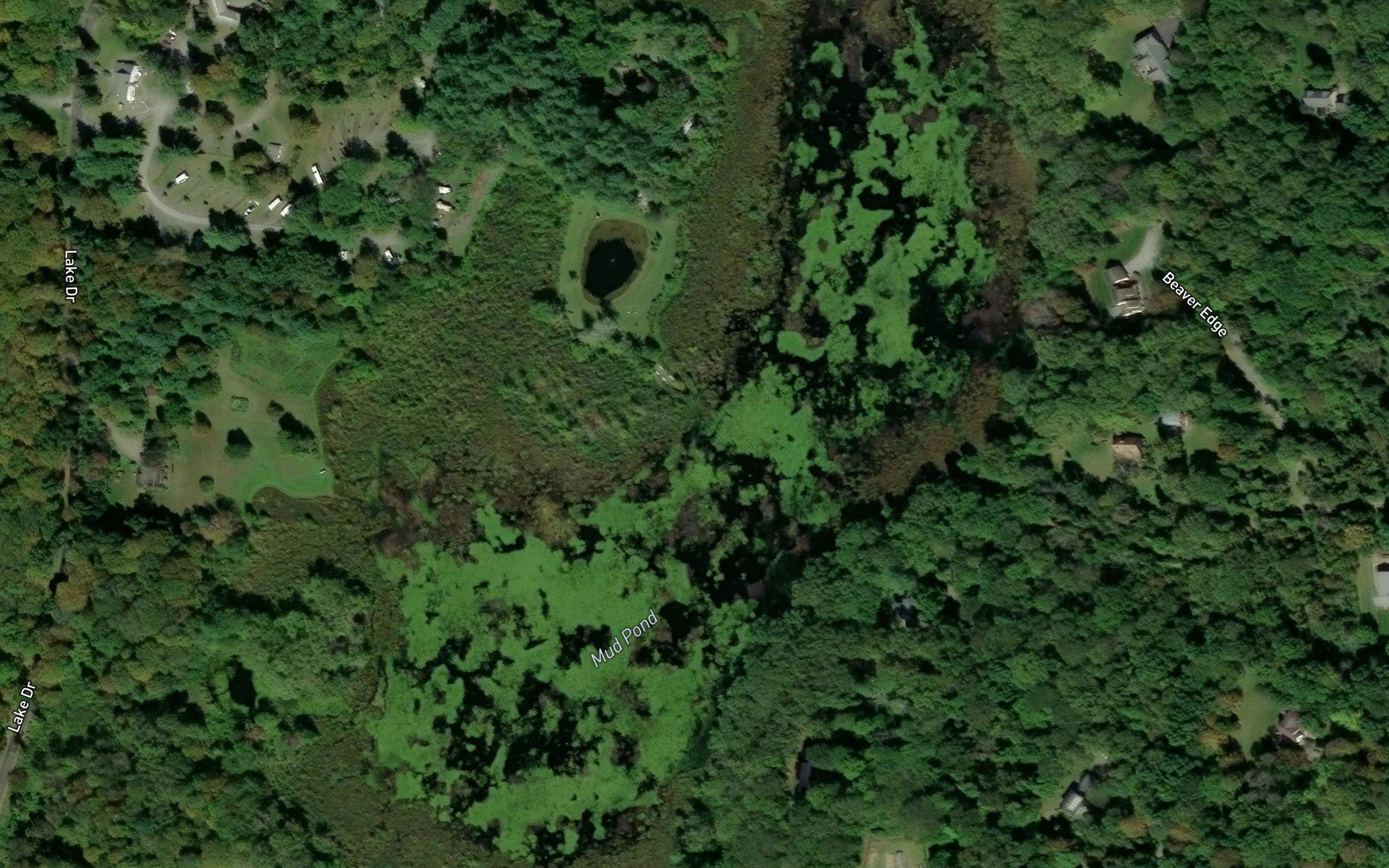 Mud Pond