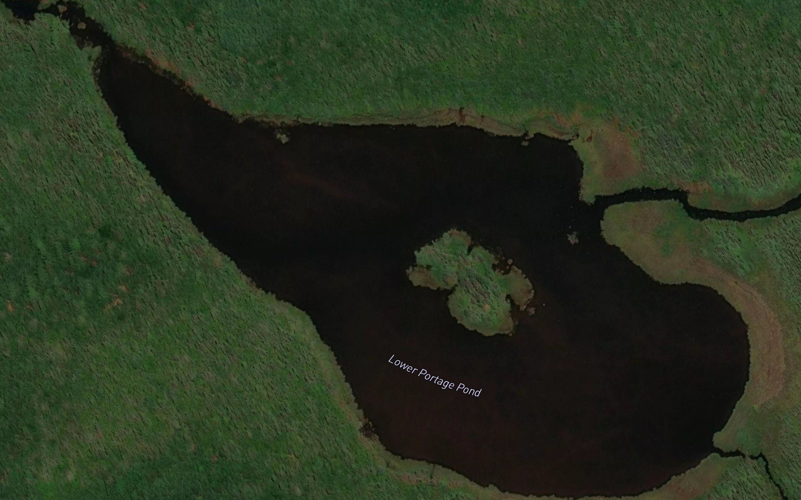 Lower Portage Pond