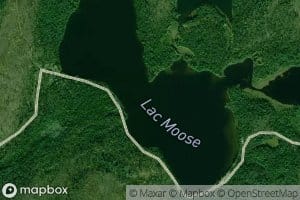 Lac Moose