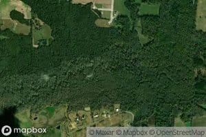 Little Cypress Creek