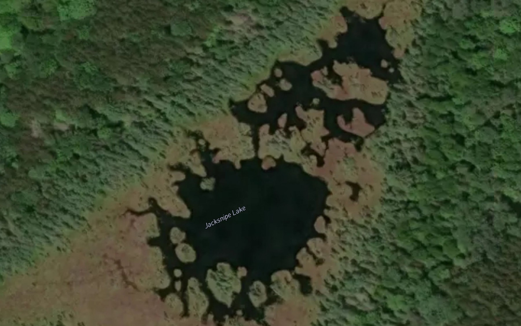 Satellite map of the Jacksnipe Lake