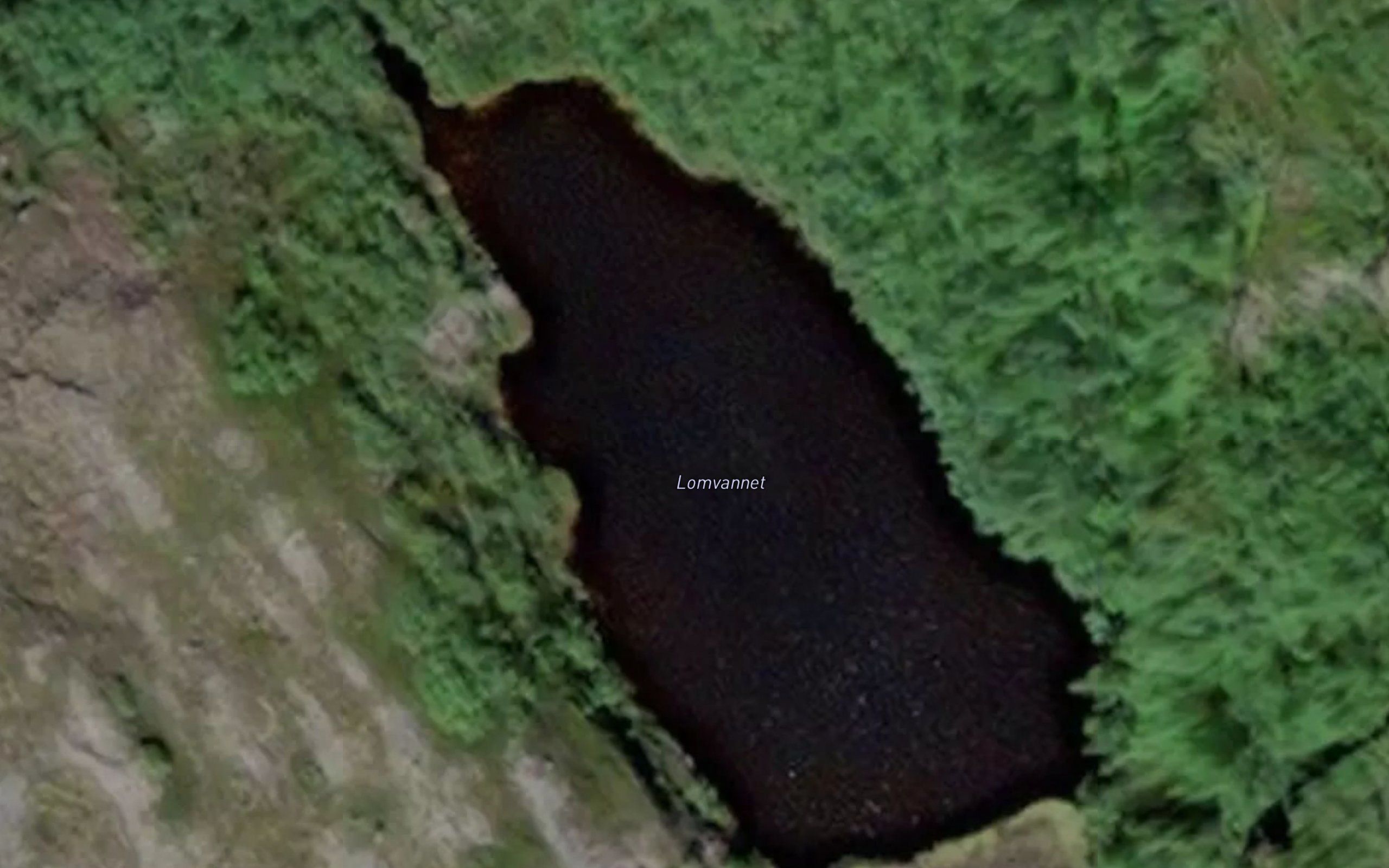Lomvannet