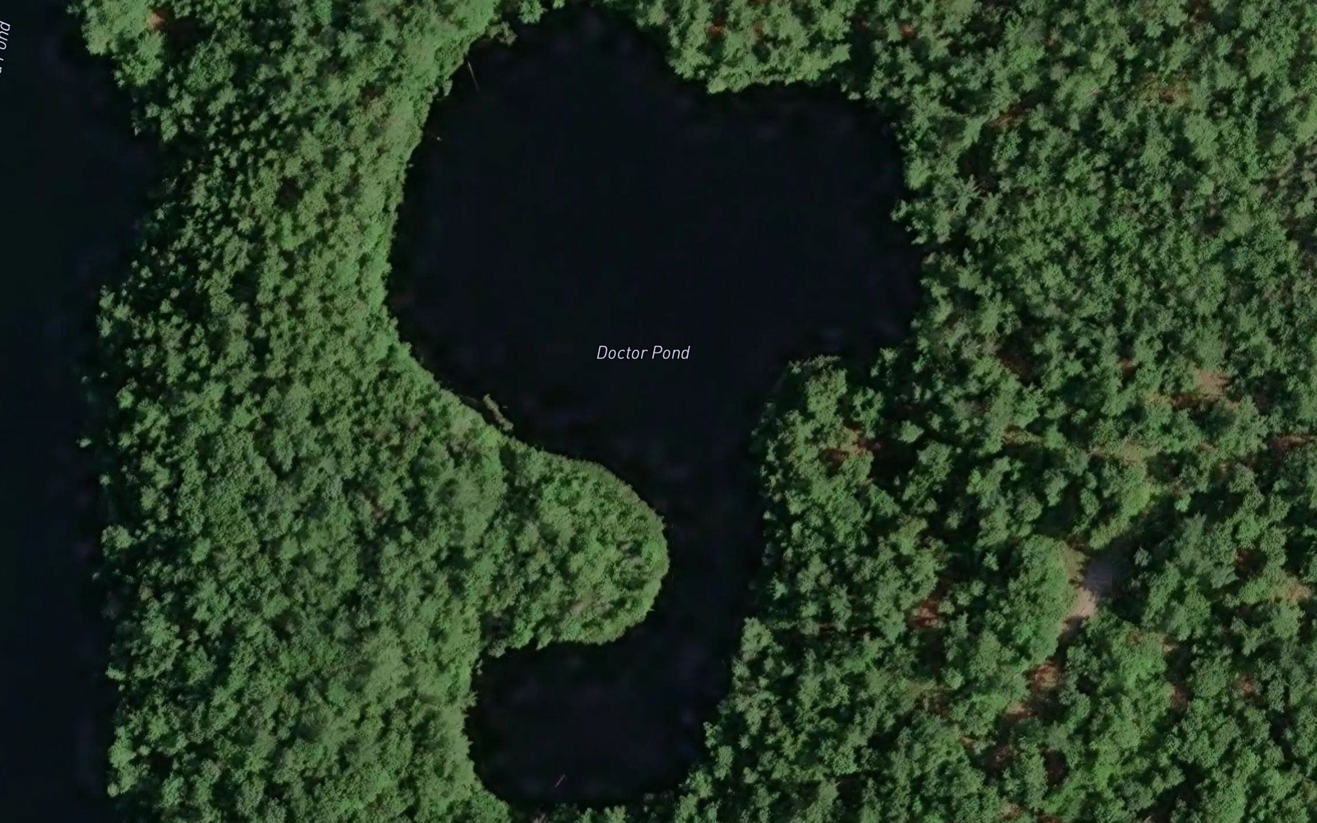 Doctors Pond