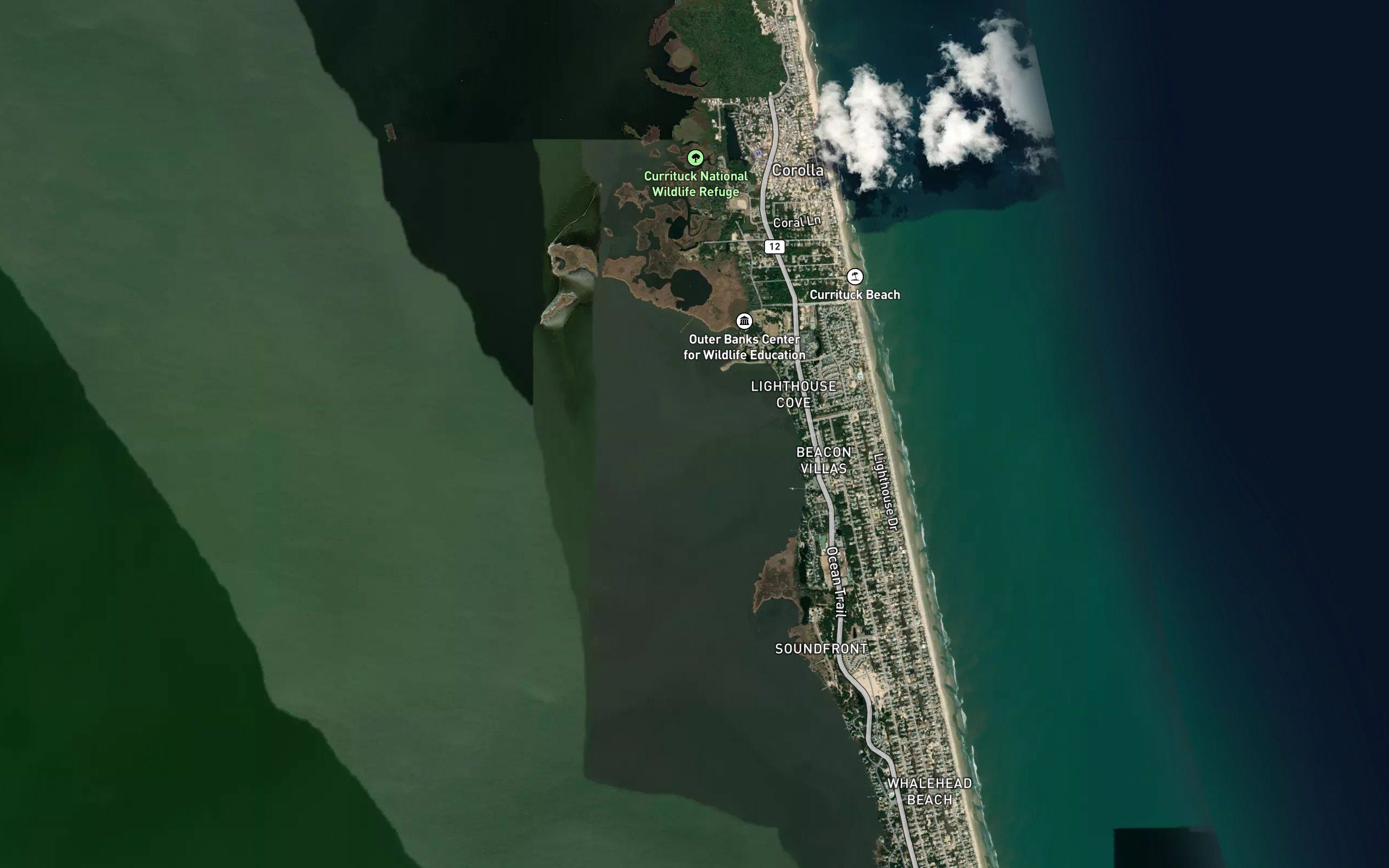 Whole Head Bay