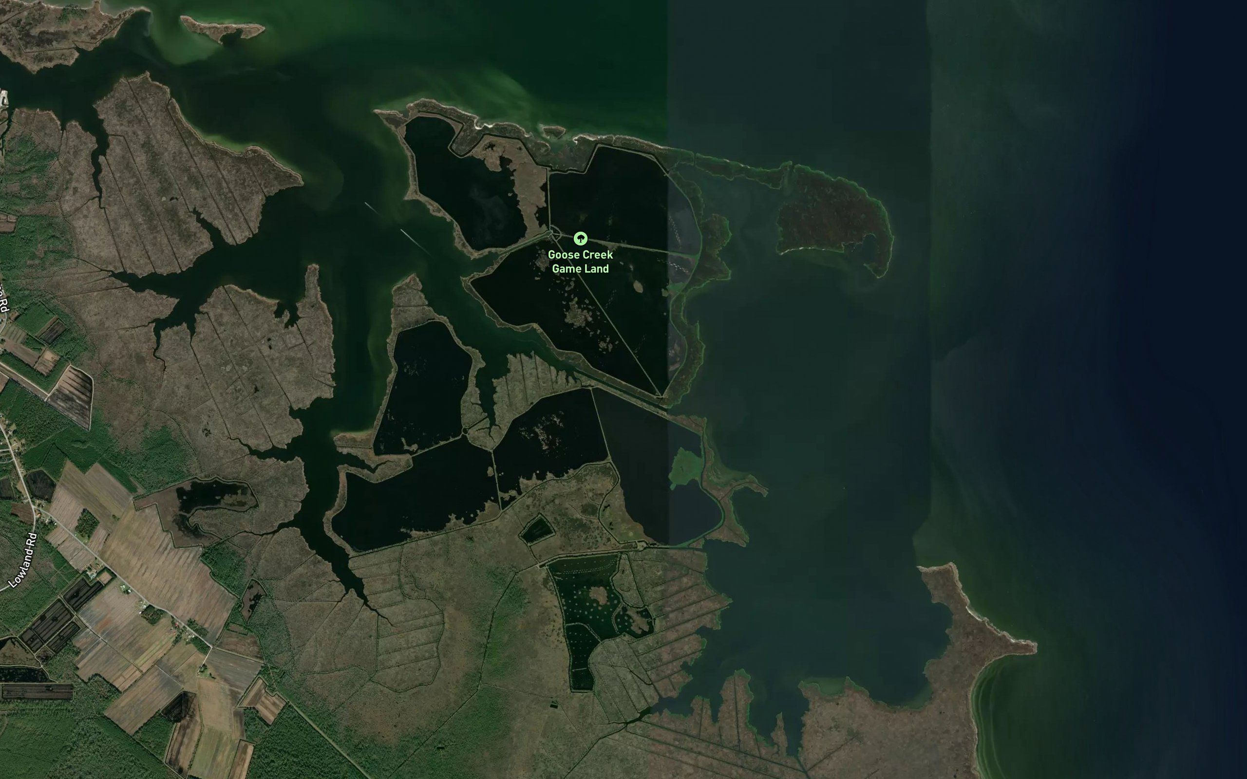Mouse Harbor Ditch
