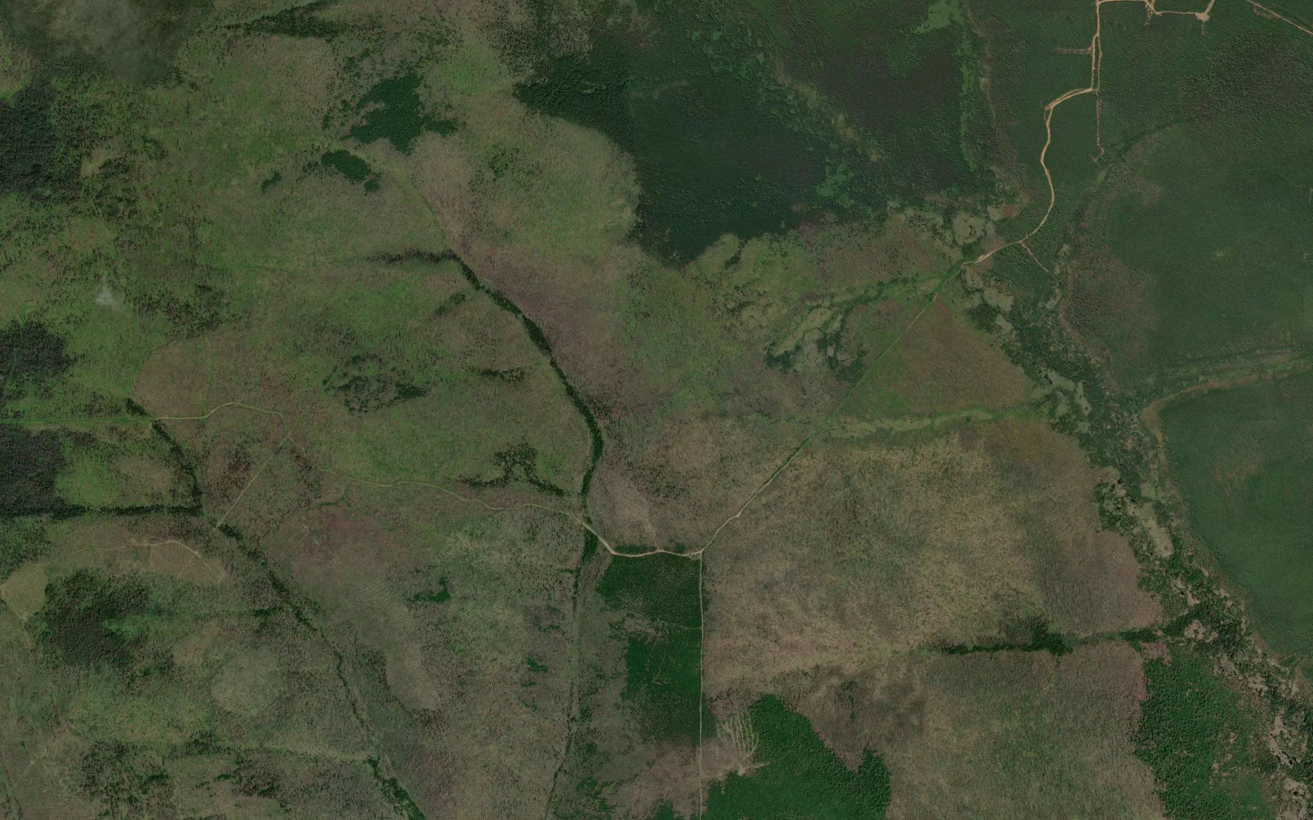 Zhelonka