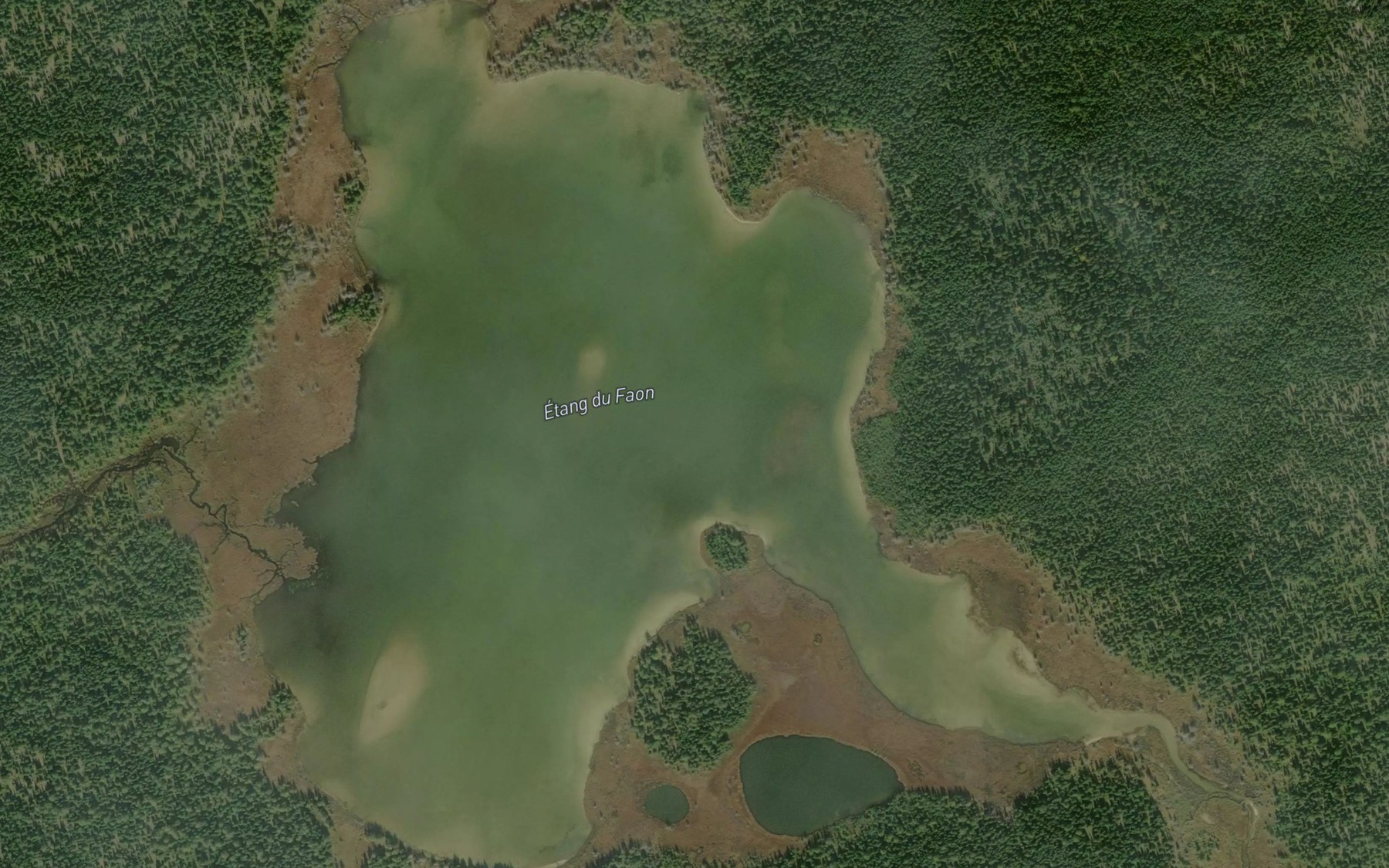 Satellite map of the Etang du Faon