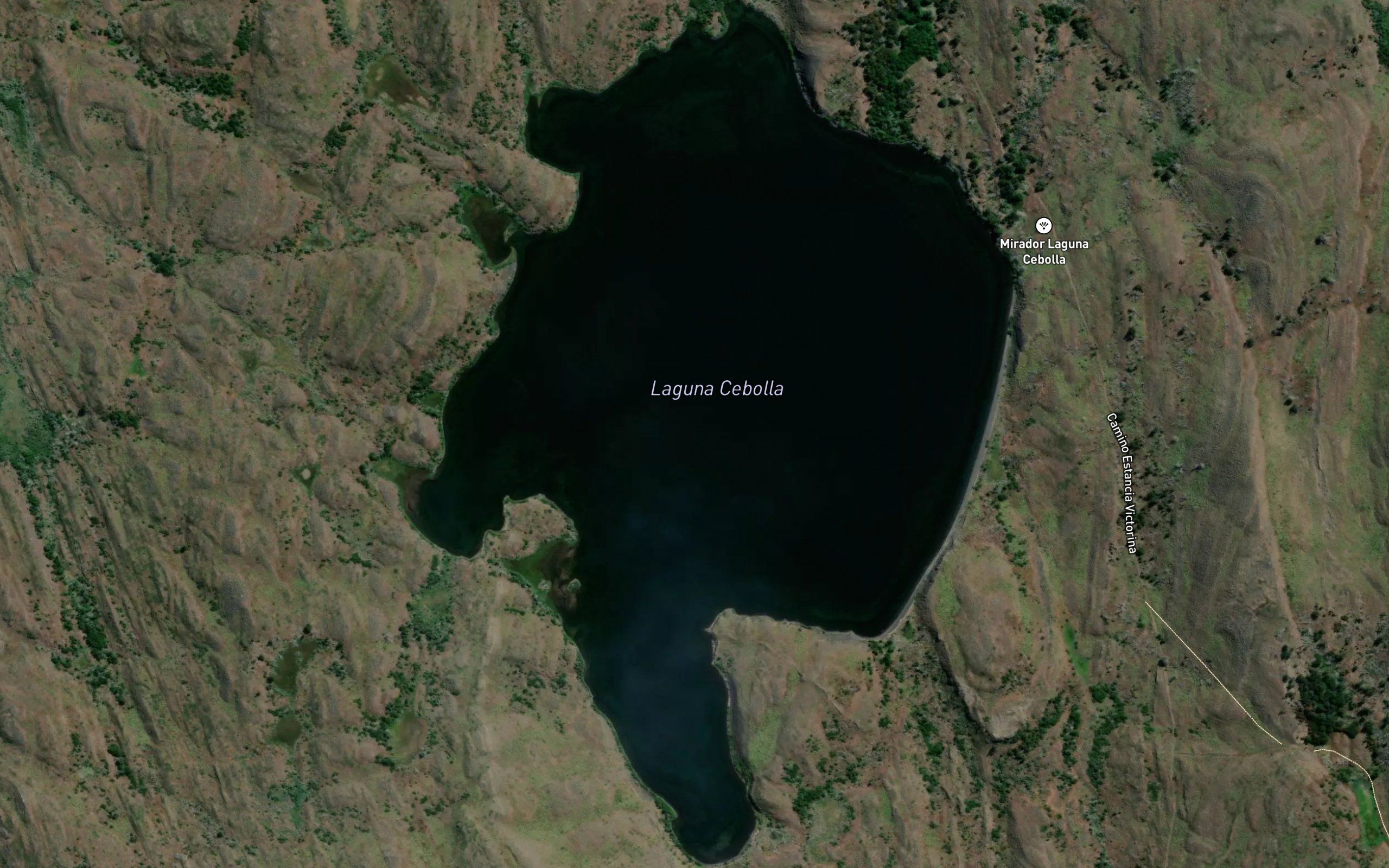 Lago Vega