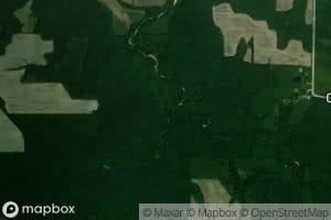 Middle Branch Sees Creek