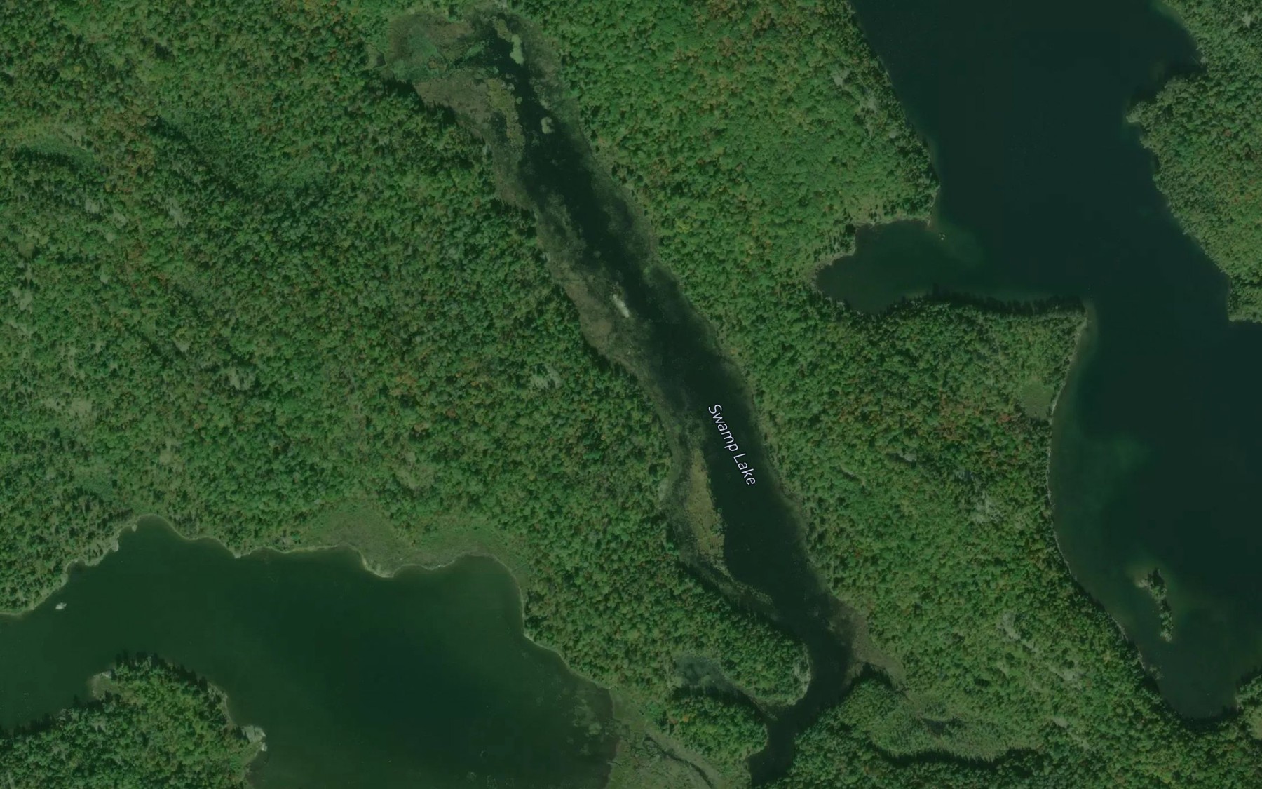 Satellite map of the Swamp Lake