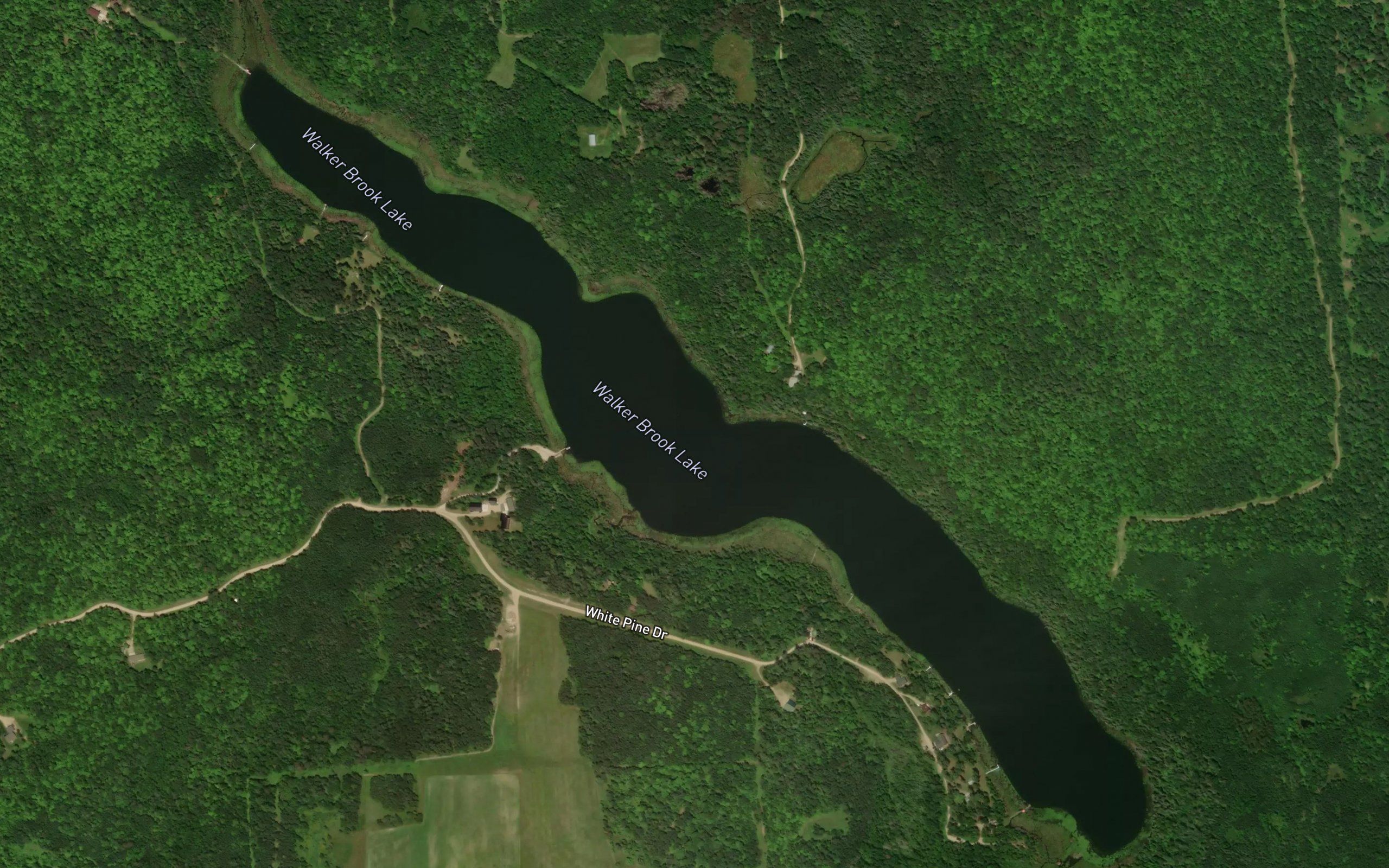 Walker Brook Lake