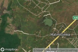 Pahala Kudapattiya Wewa