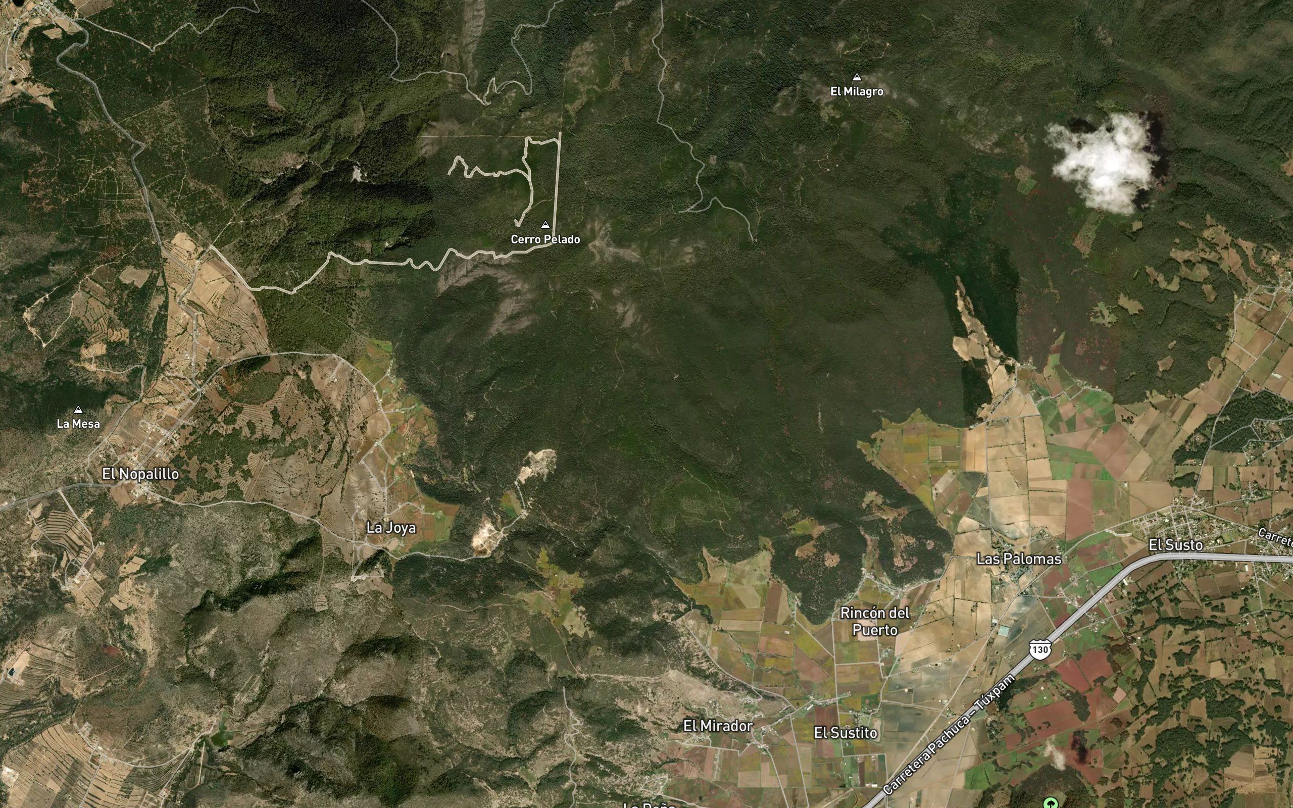 Barranca El Tesguatal