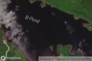 B Pond