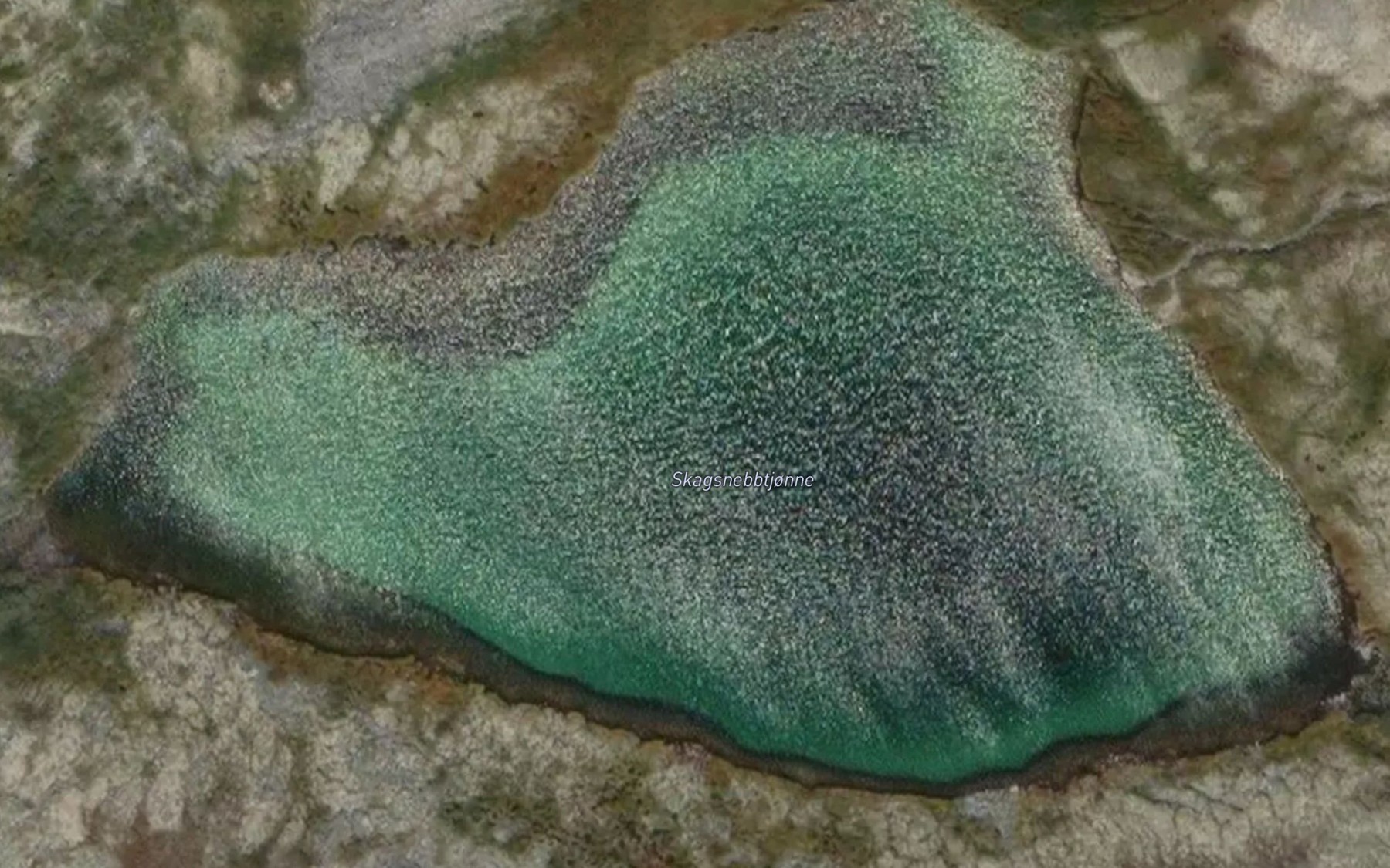 Satellite map of the Skagsnebbtjorni
