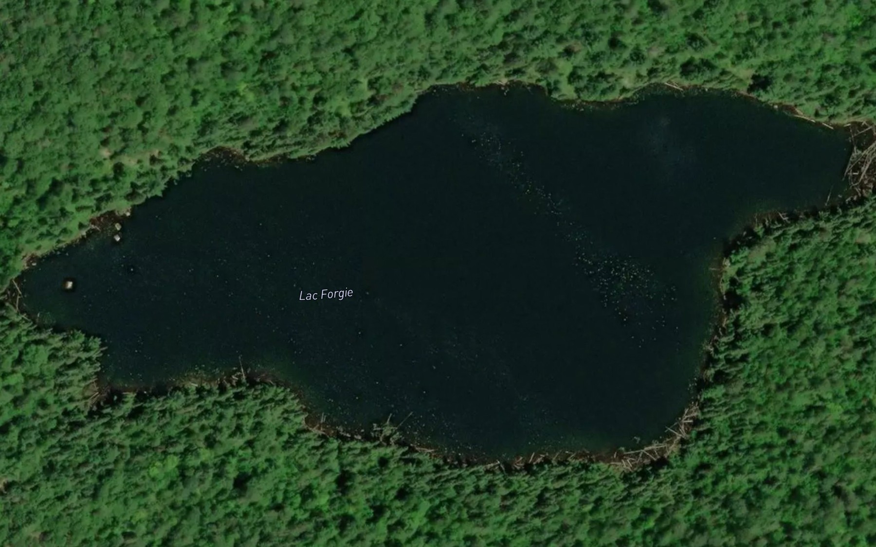 Satellite map of the Lac Forgie