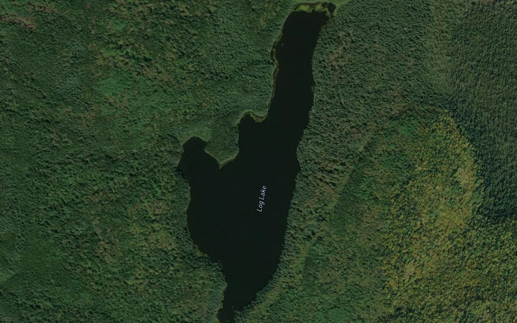 Satellite map of the Log Lake