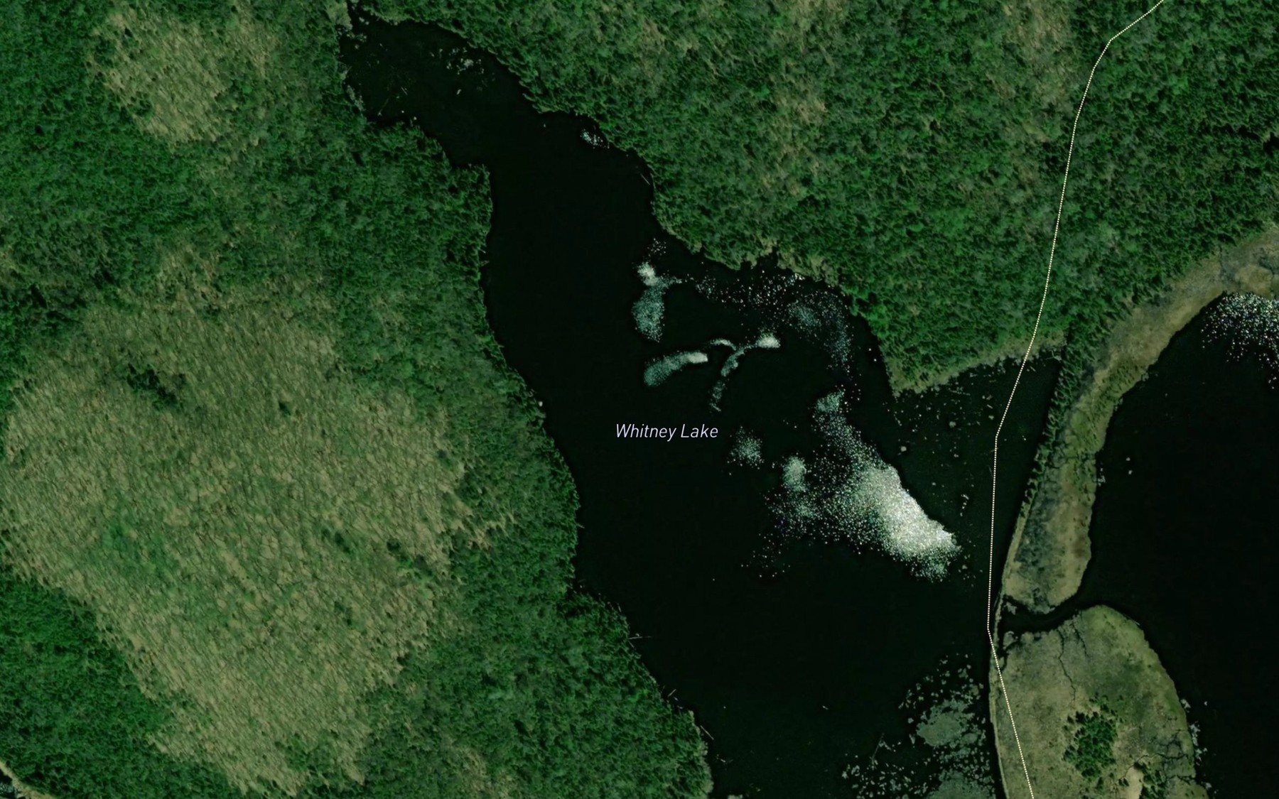 Satellite map of the Whitney Lake