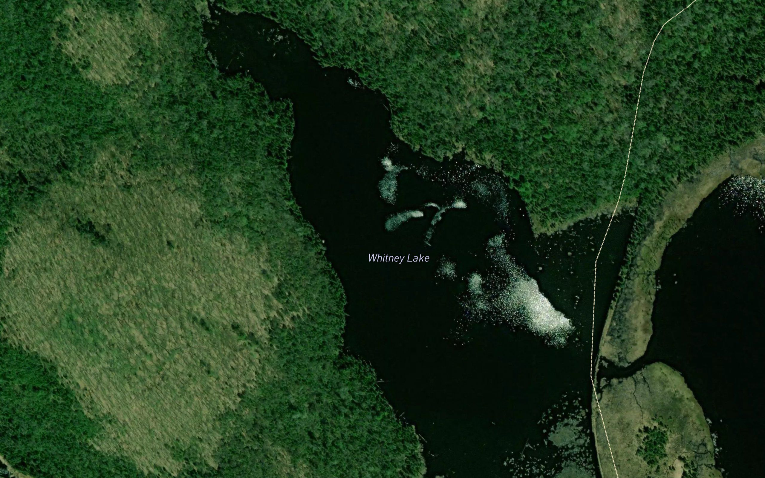 Whitney Lake