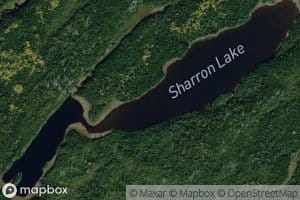 Sharron Lake