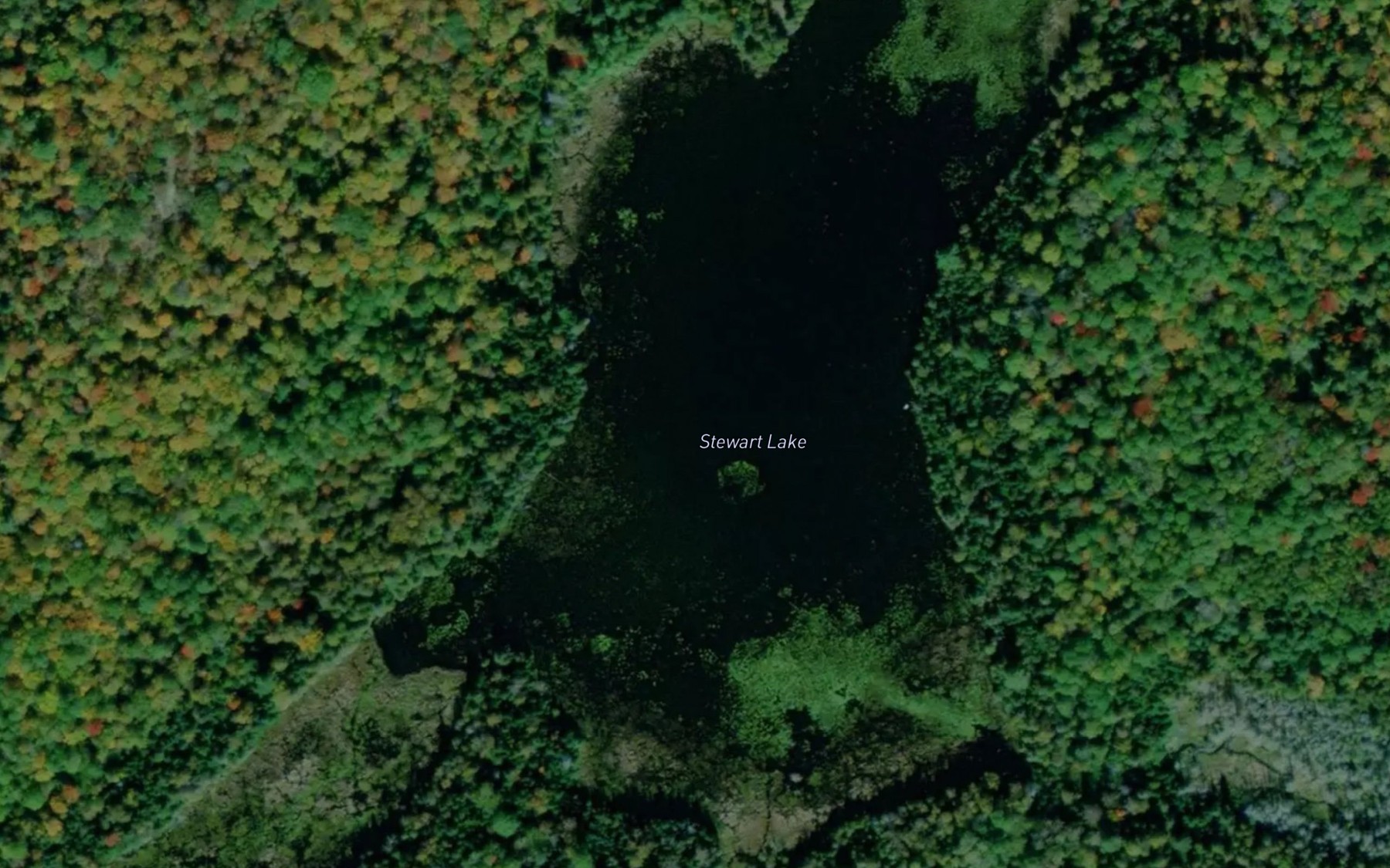 Satellite map of the Stewart Lake