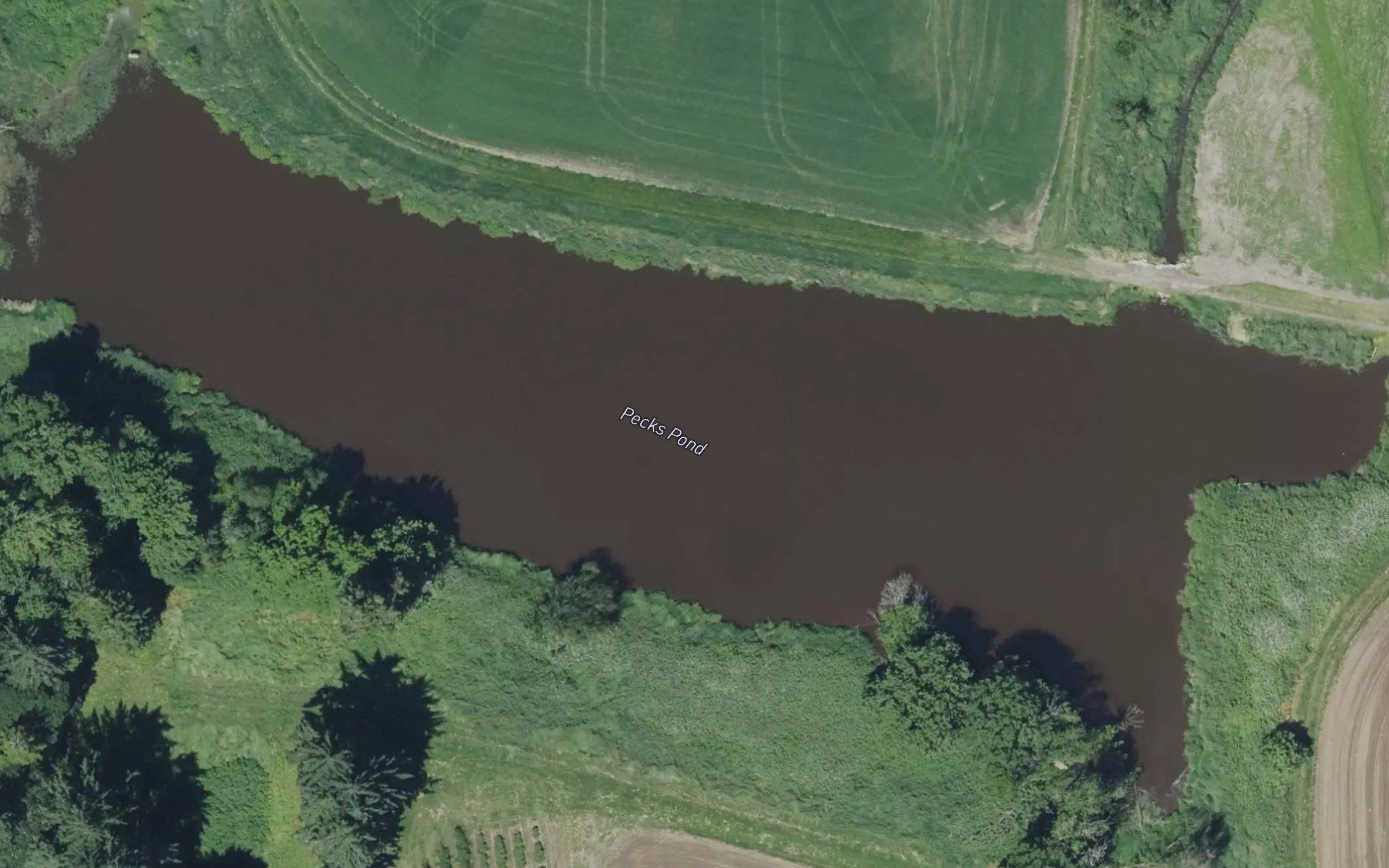 Pecks Pond