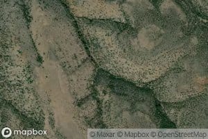 Quaking Aspen Spring