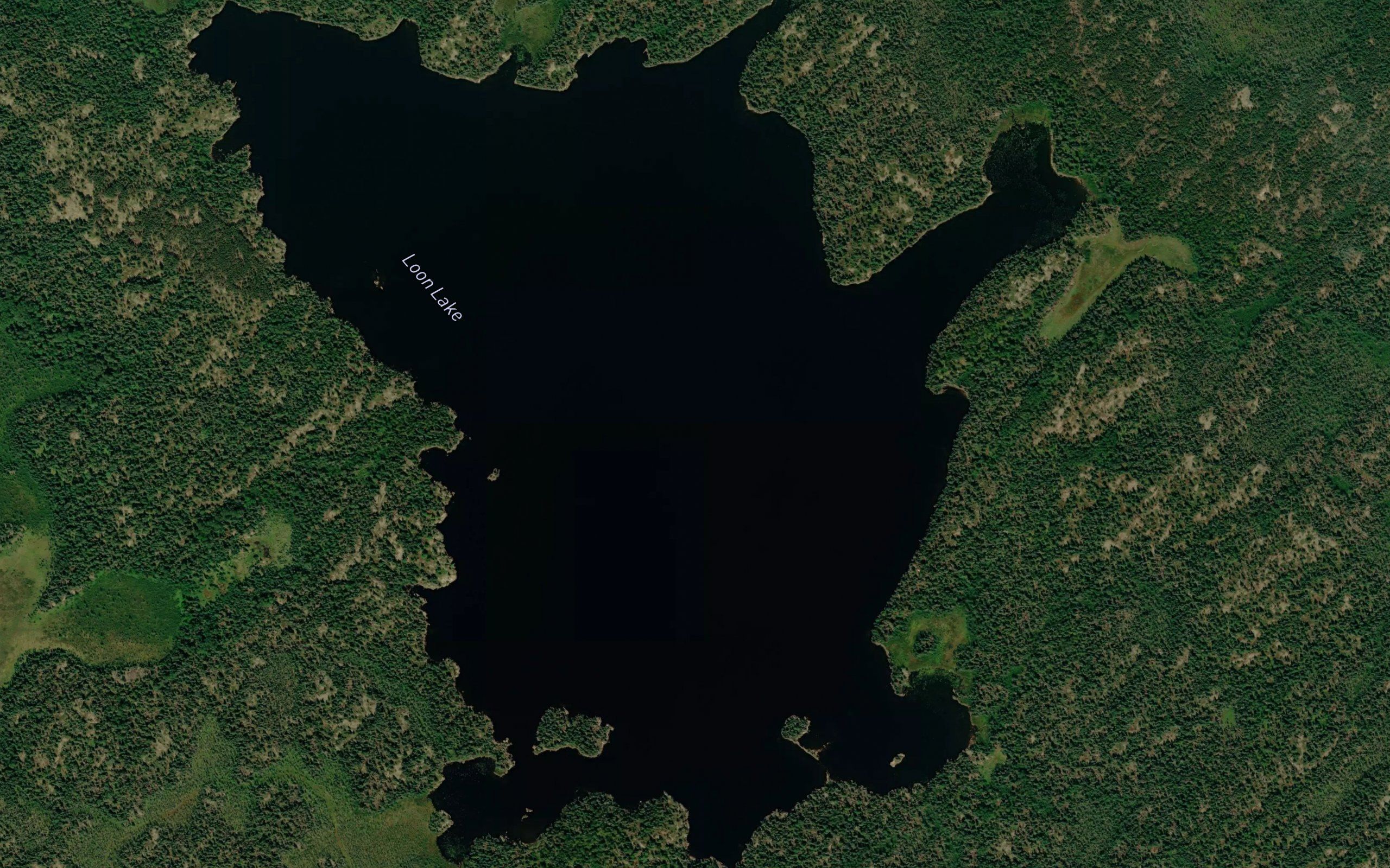 Loon Lake