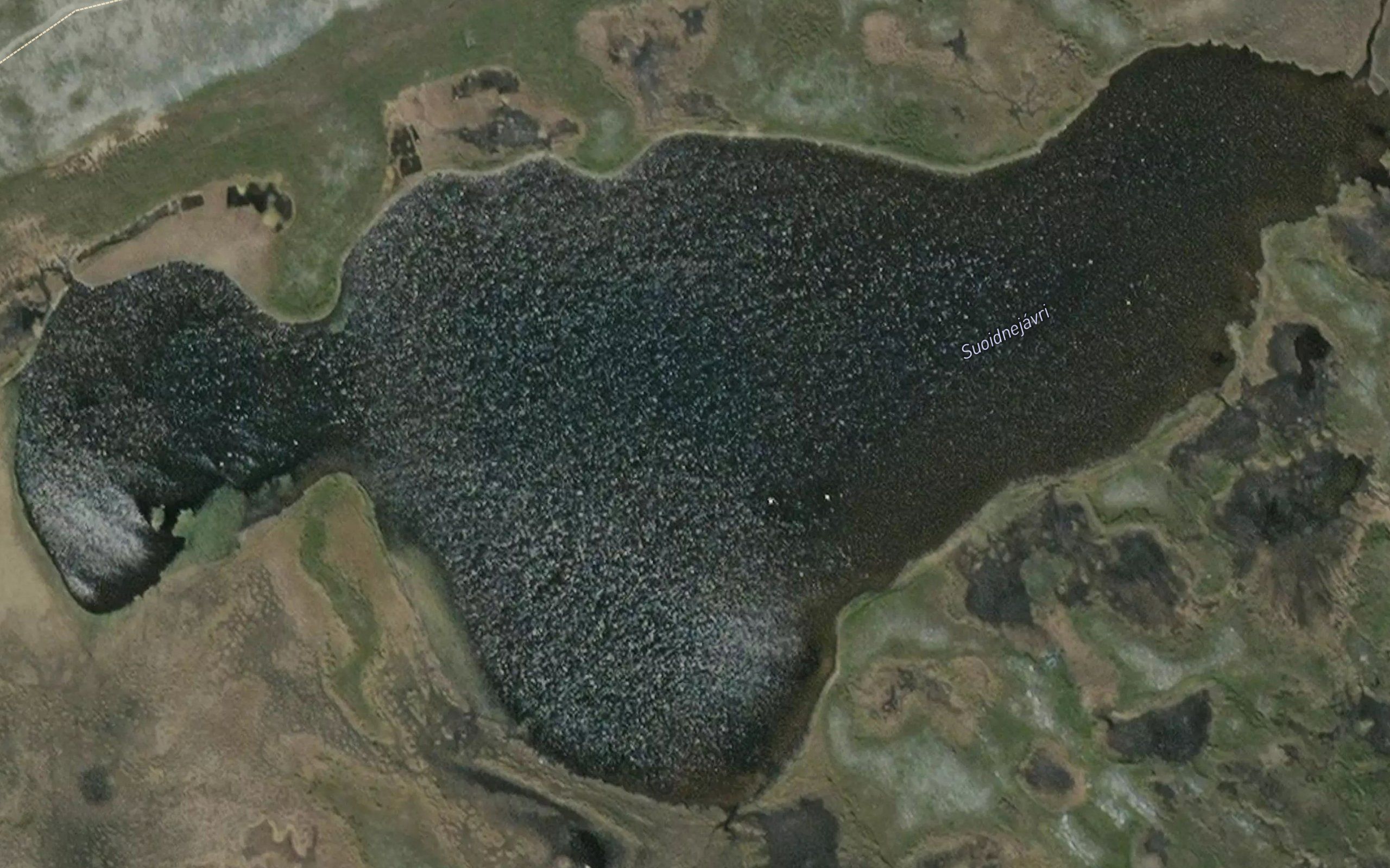 Suoidnejavri