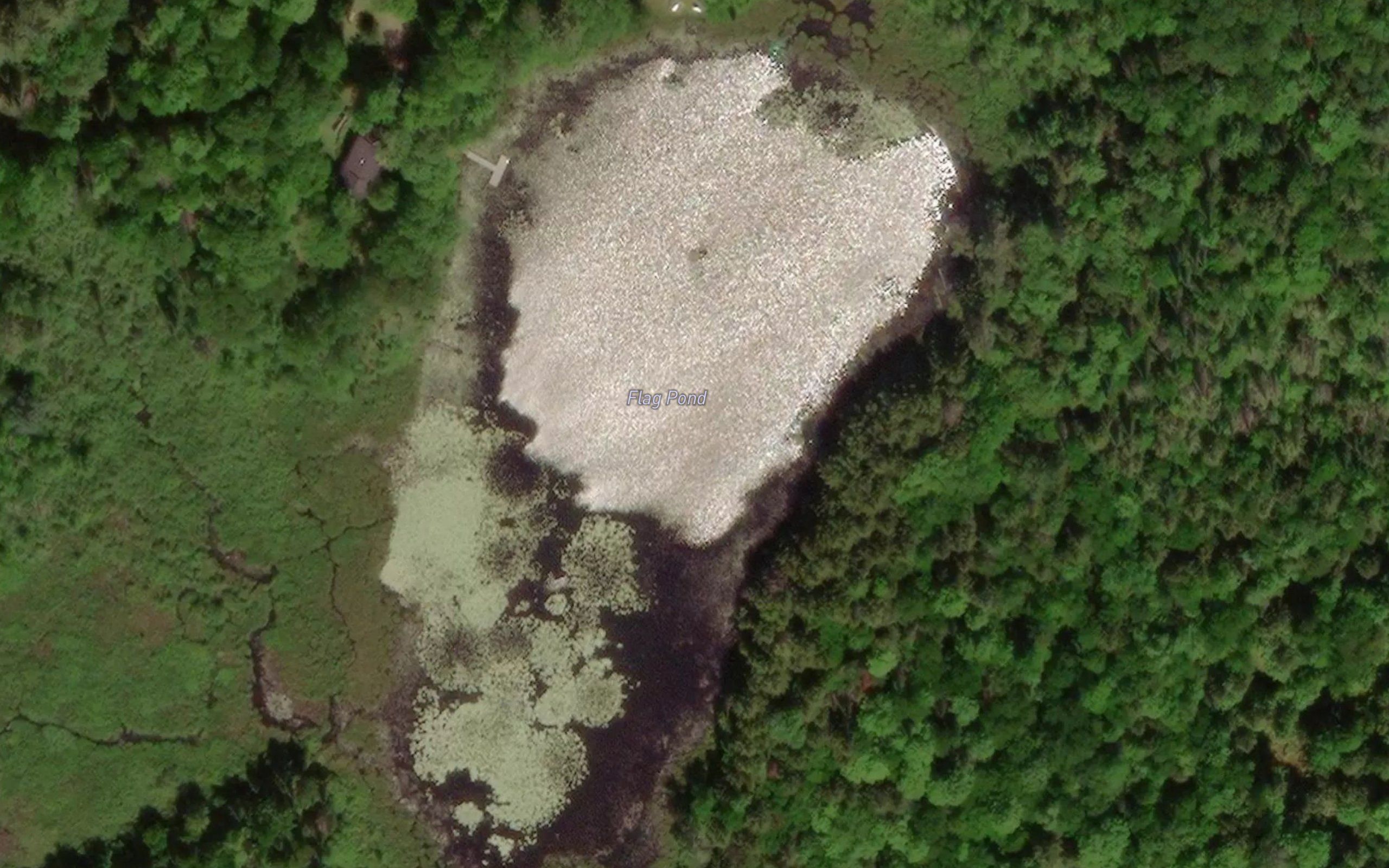 Flag Pond