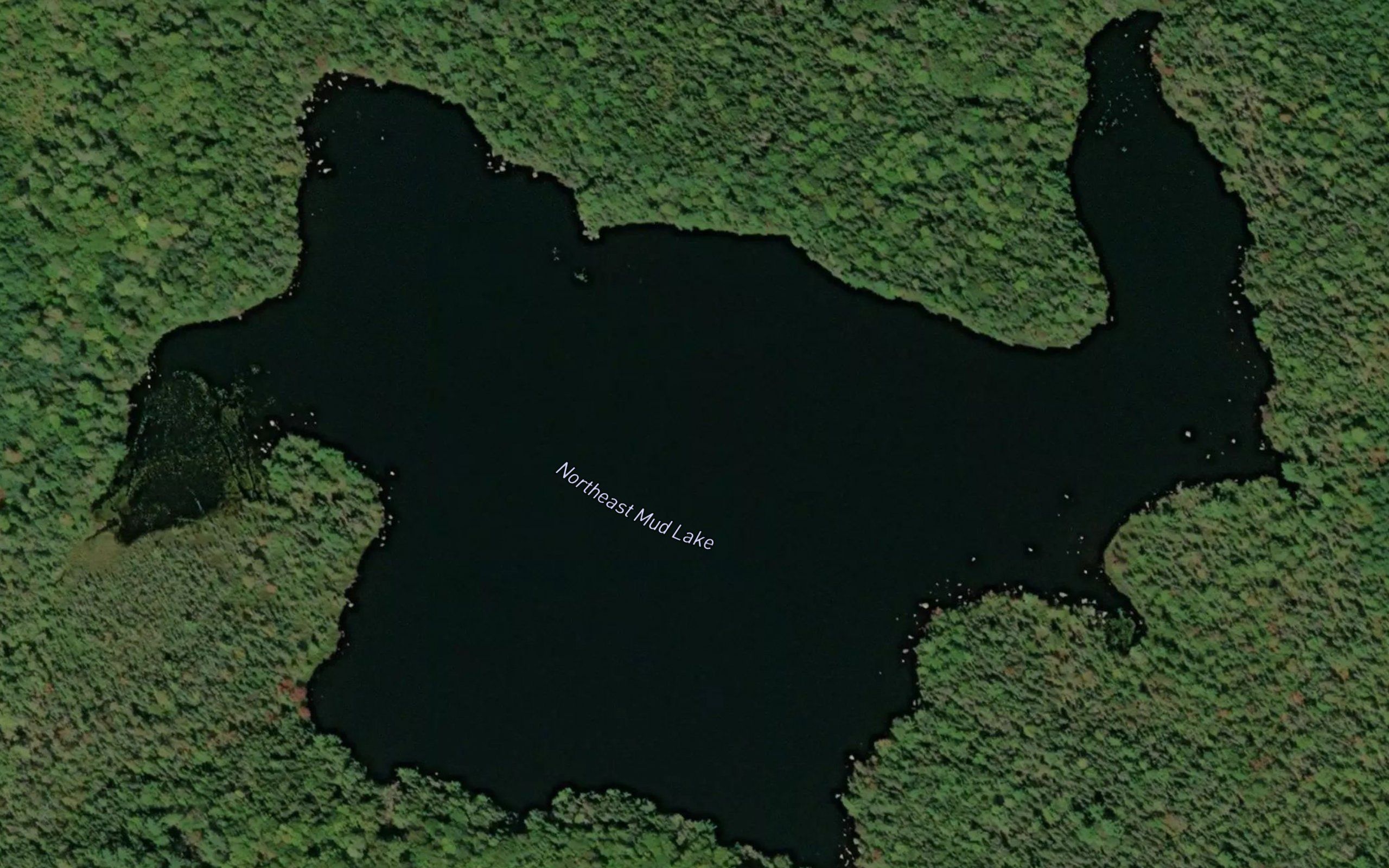 Northeast Mud Lake