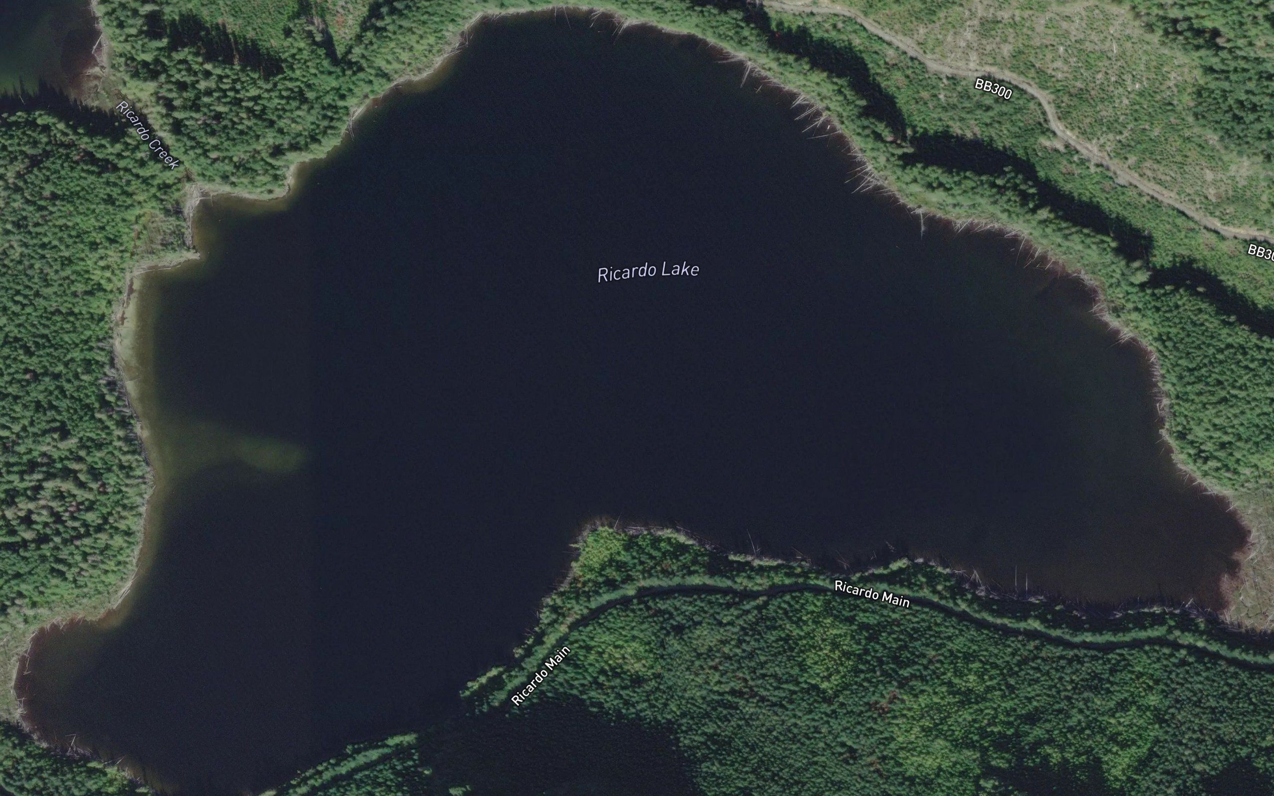 Ricardo Lake