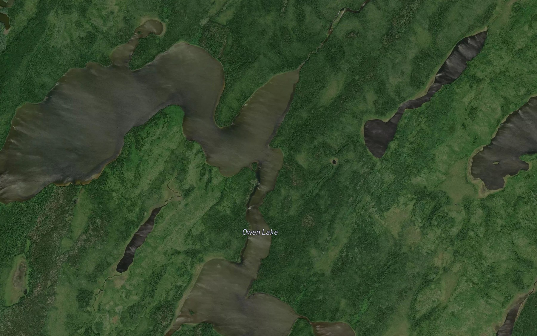Satellite map of the Owen Lake