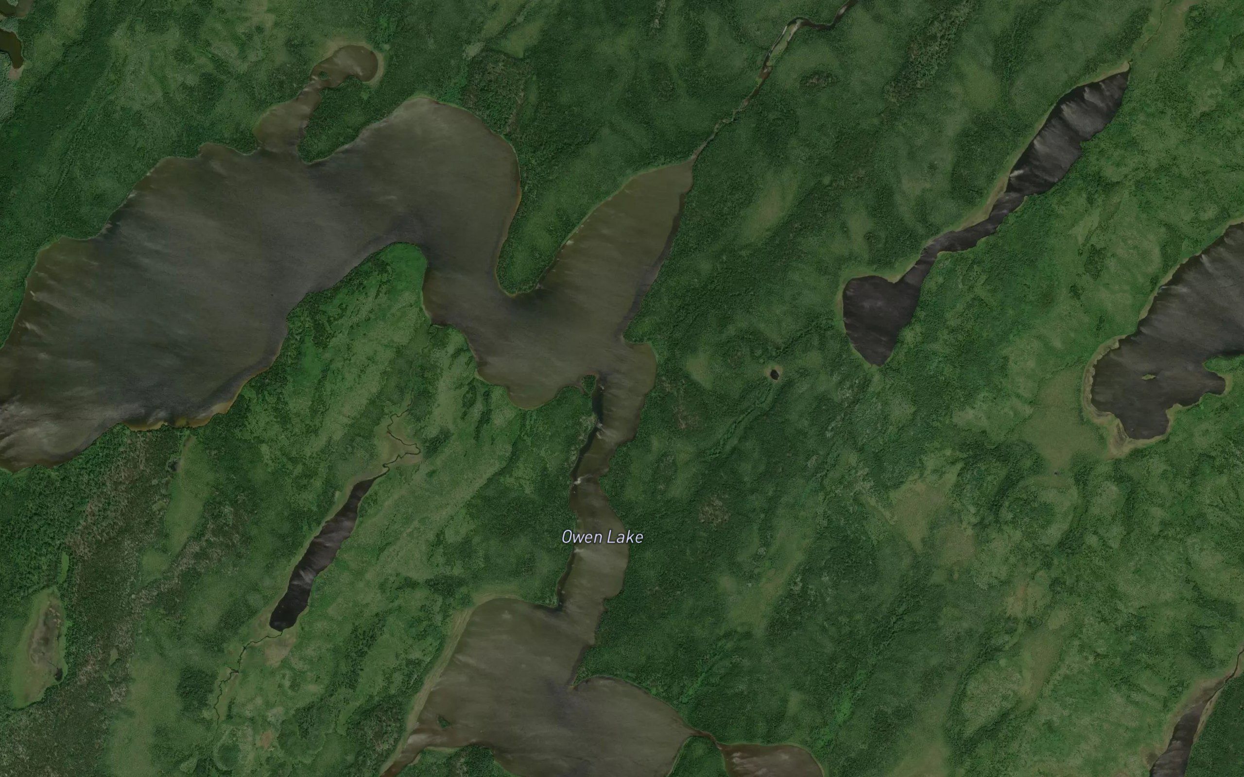 Owen Lake