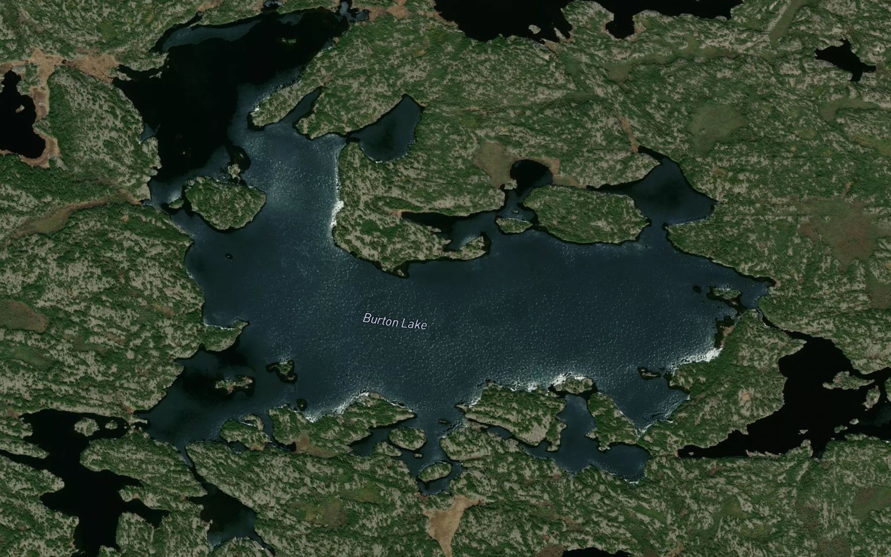 Satellite map of the Burton Lake