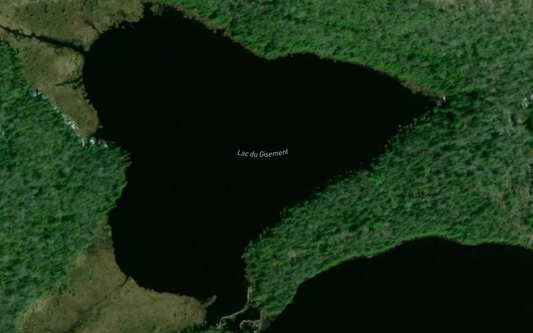 Satellite map of the Lac du Gisement
