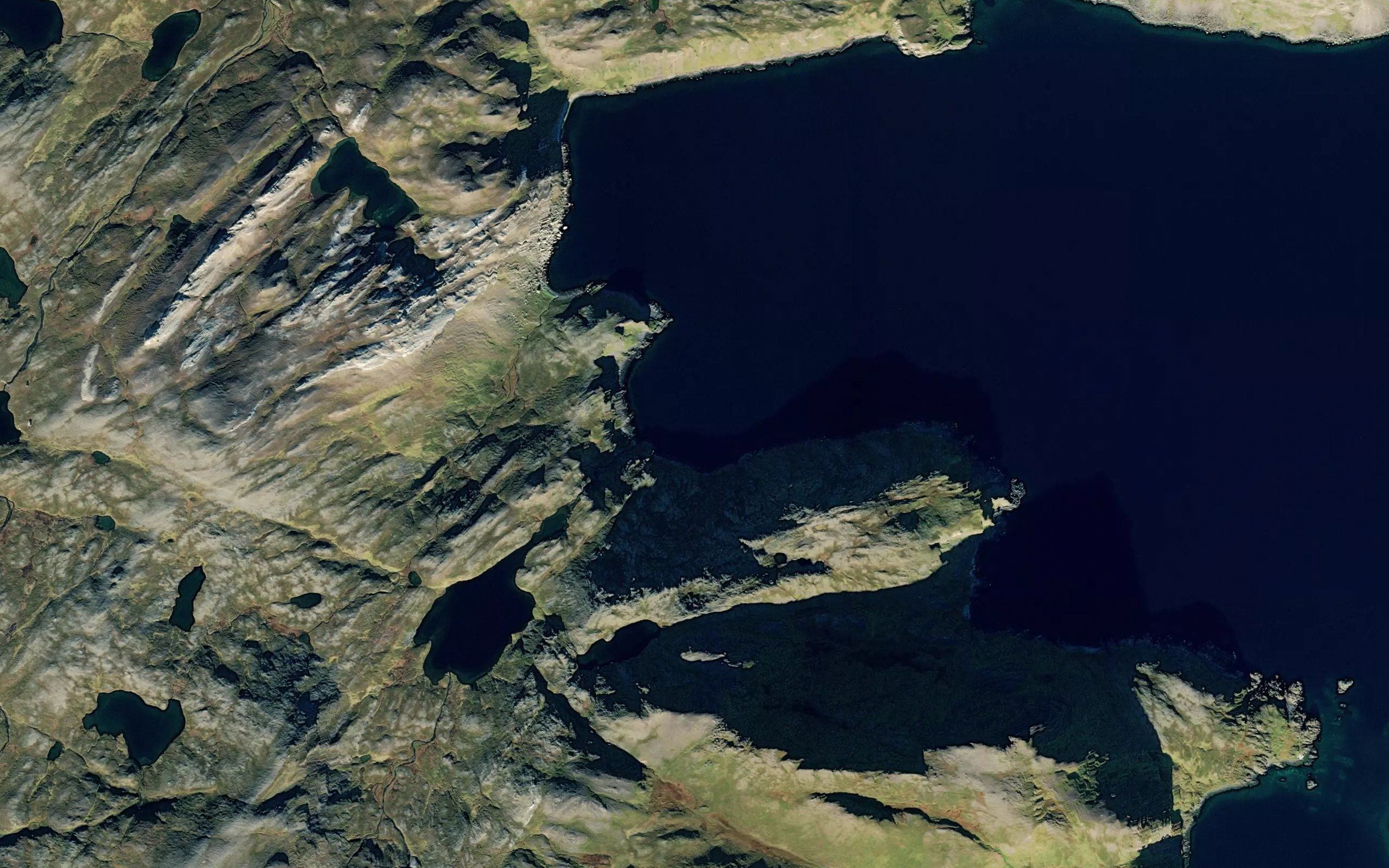Fiskevika
