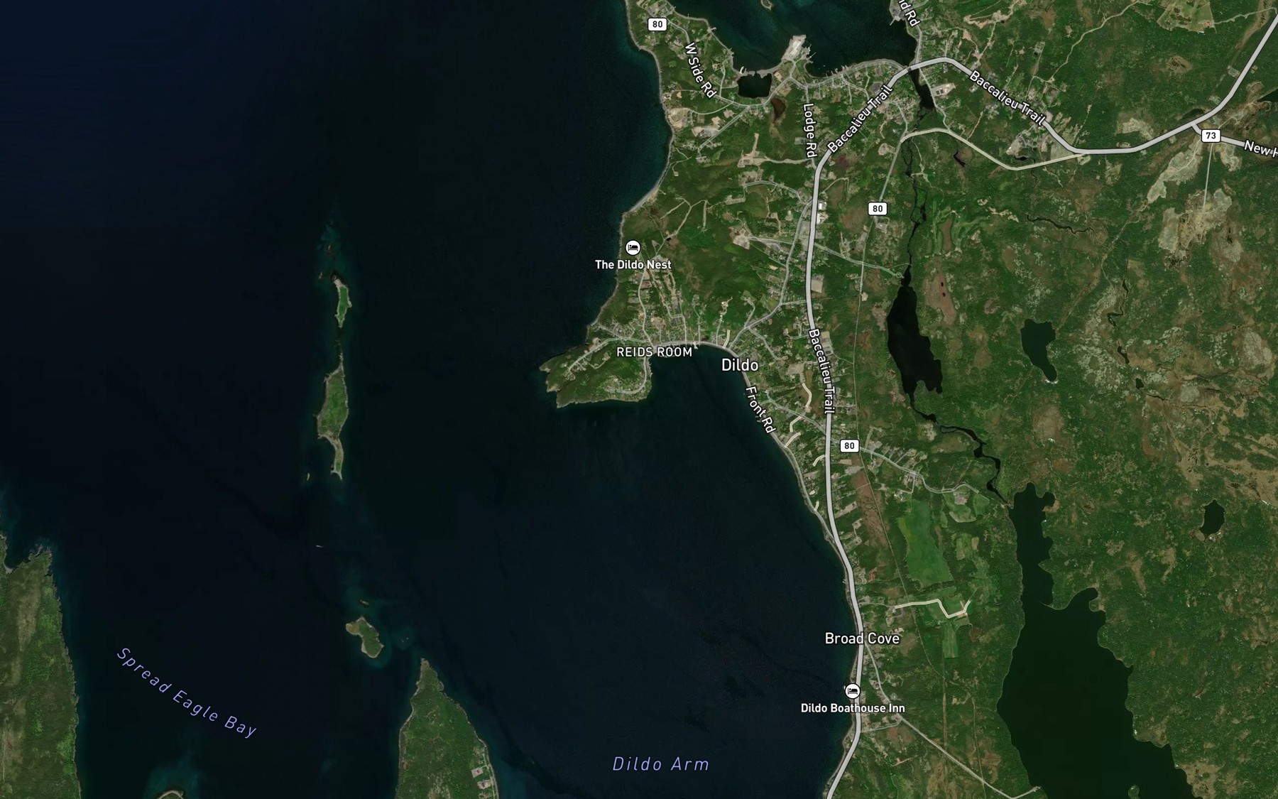 Satellite map of the Dildo Cove