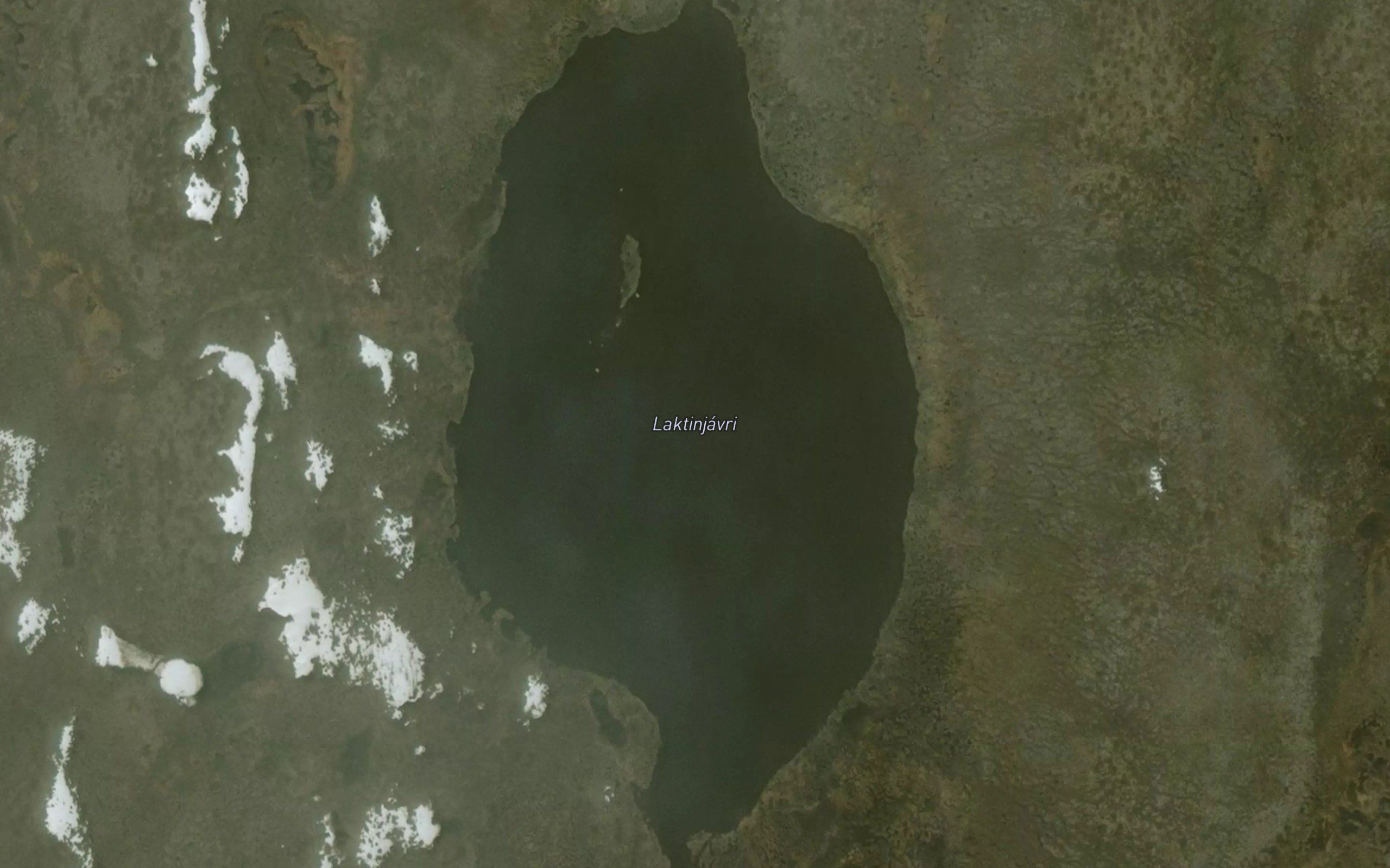 Laktinjavri