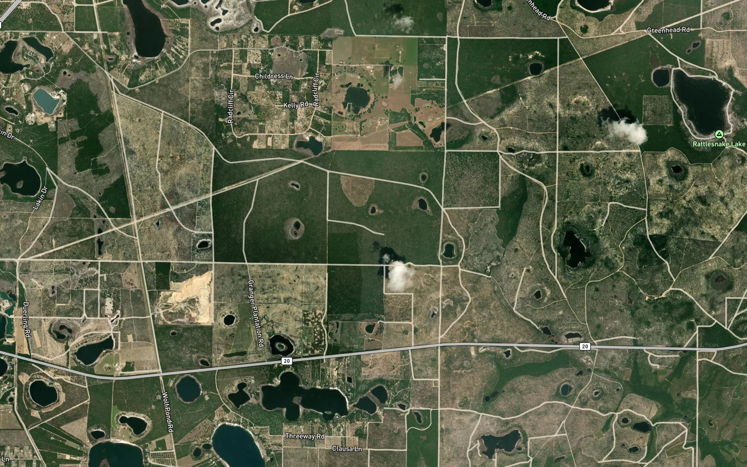 Alligator Pond