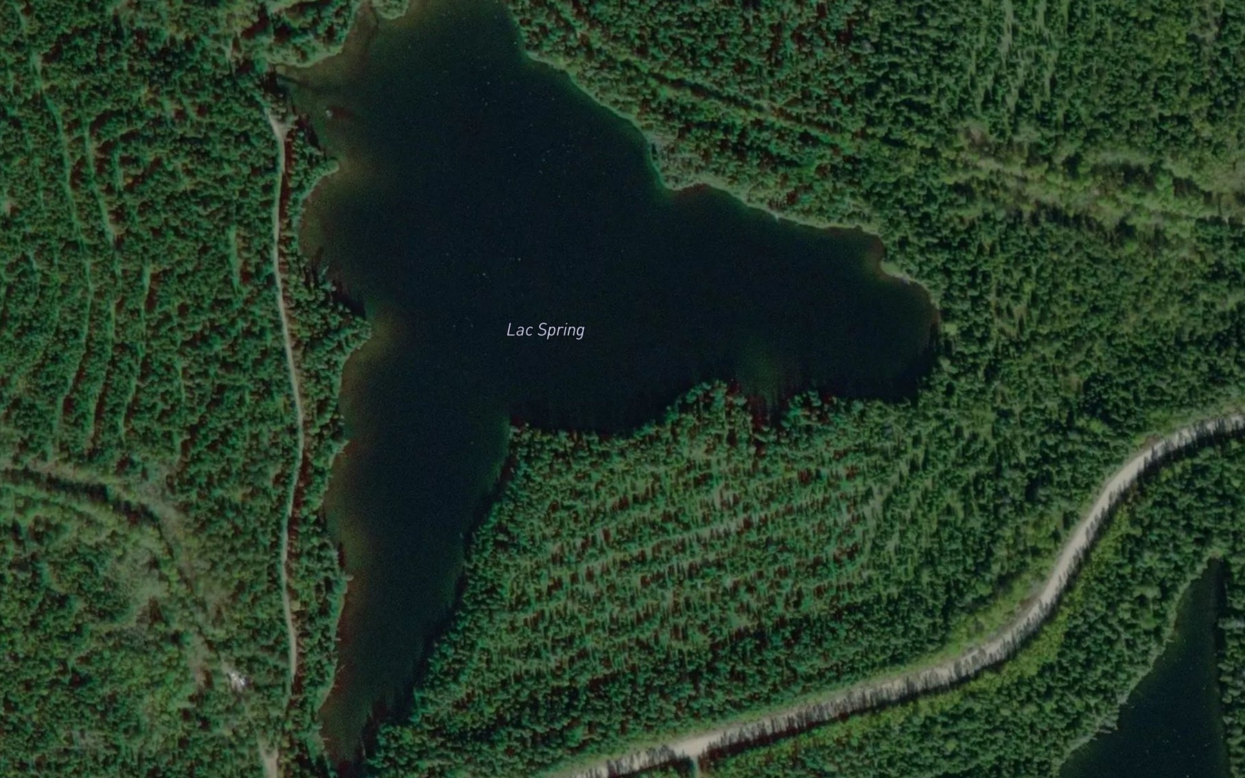 Satellite map of the Lac Spring