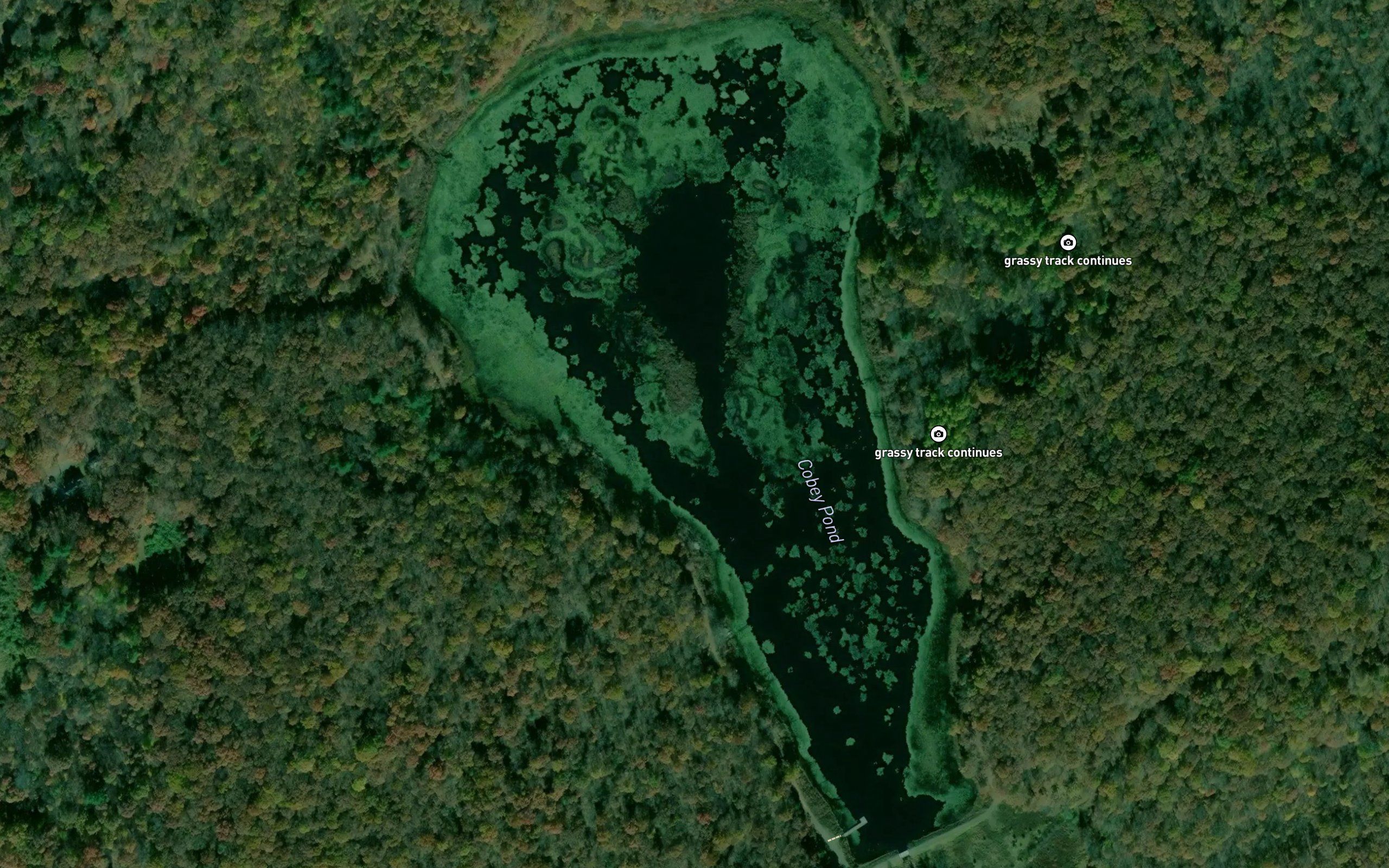 Cobey Pond
