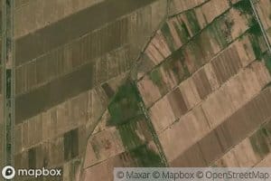 Tur`at Wahid wa Arba`un