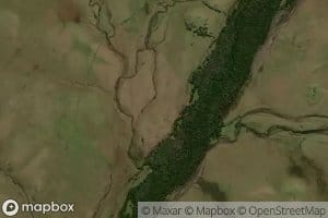 Arroyo de las Conchas